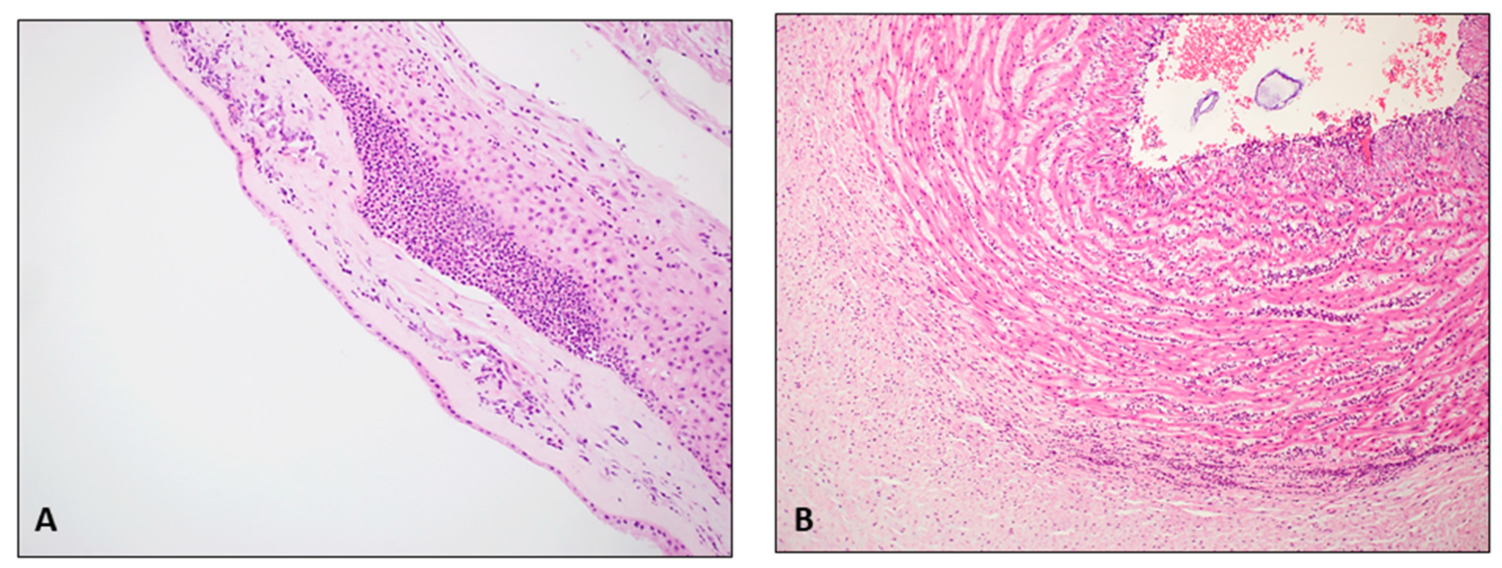 Diagnostics 14 01157 g002
