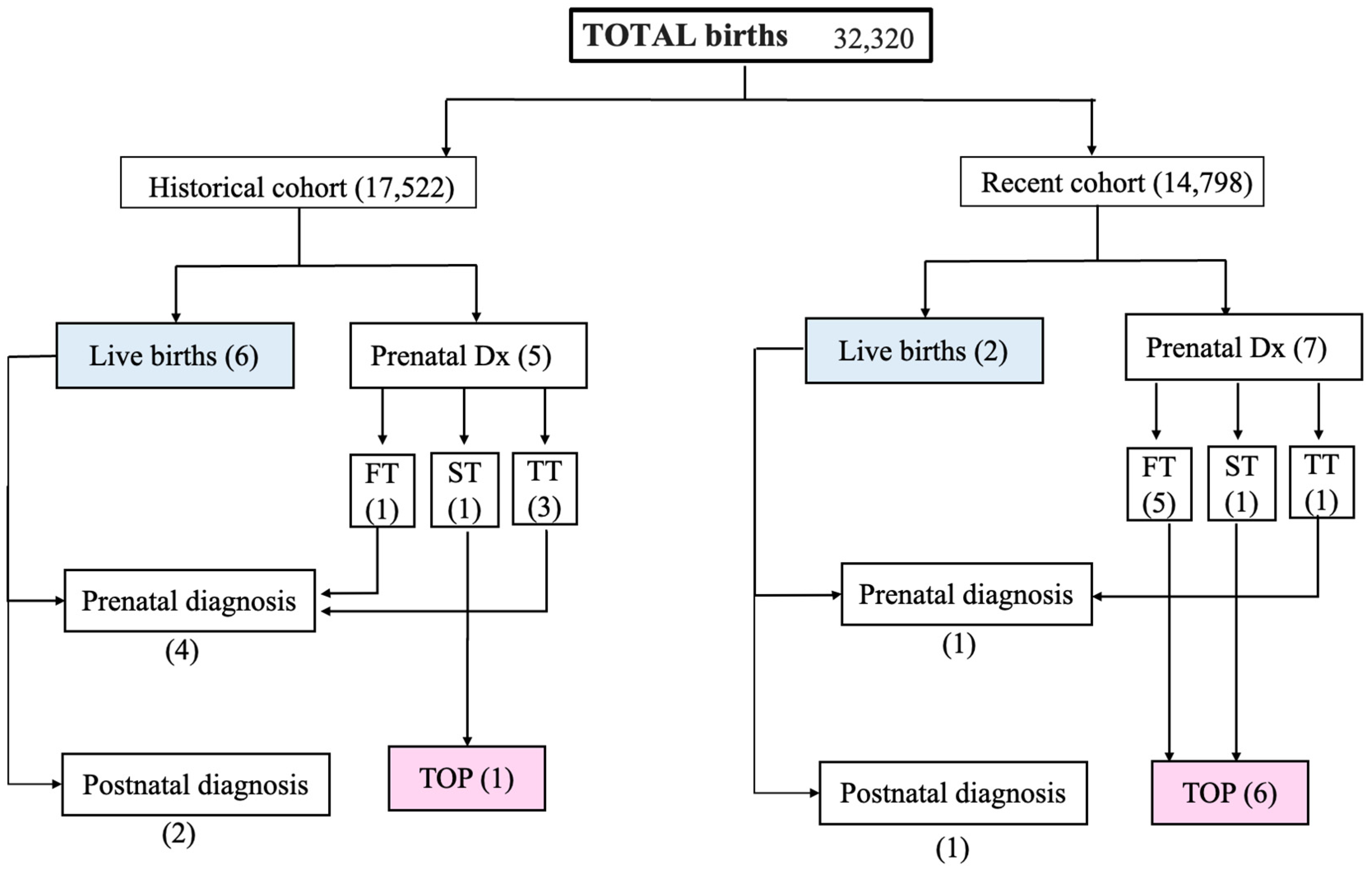 Diagnostics 14 01185 g003