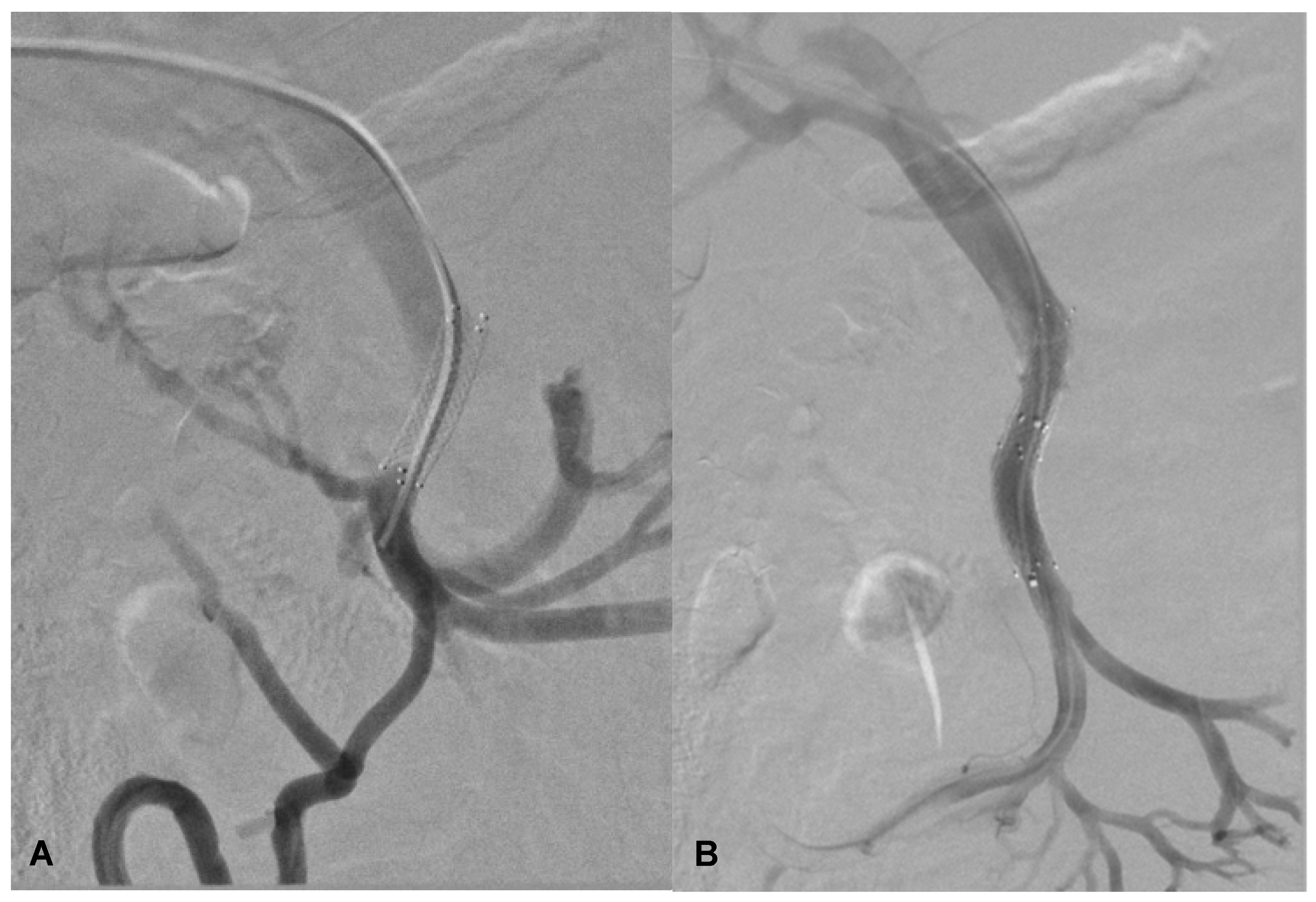 Diagnostics 14 01187 g008