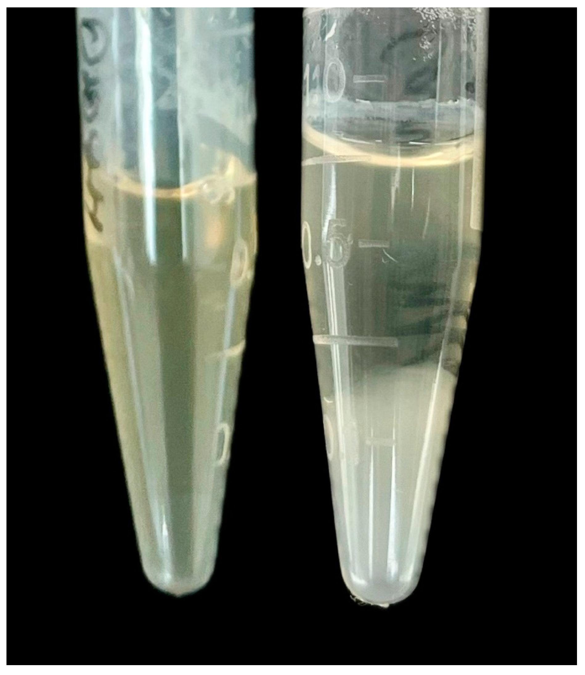 Diagnostics 14 01188 g002