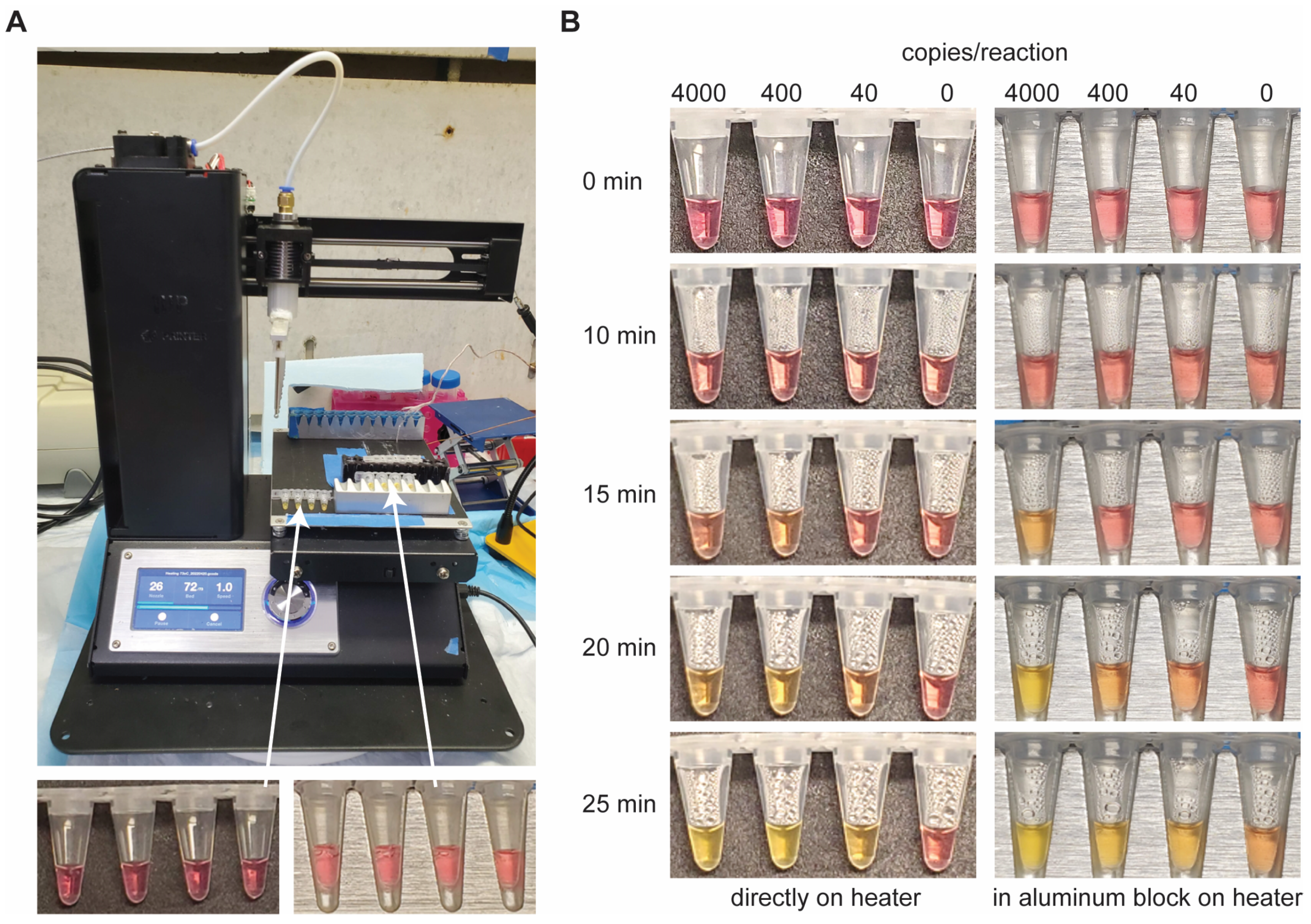 Diagnostics 14 01193 g003