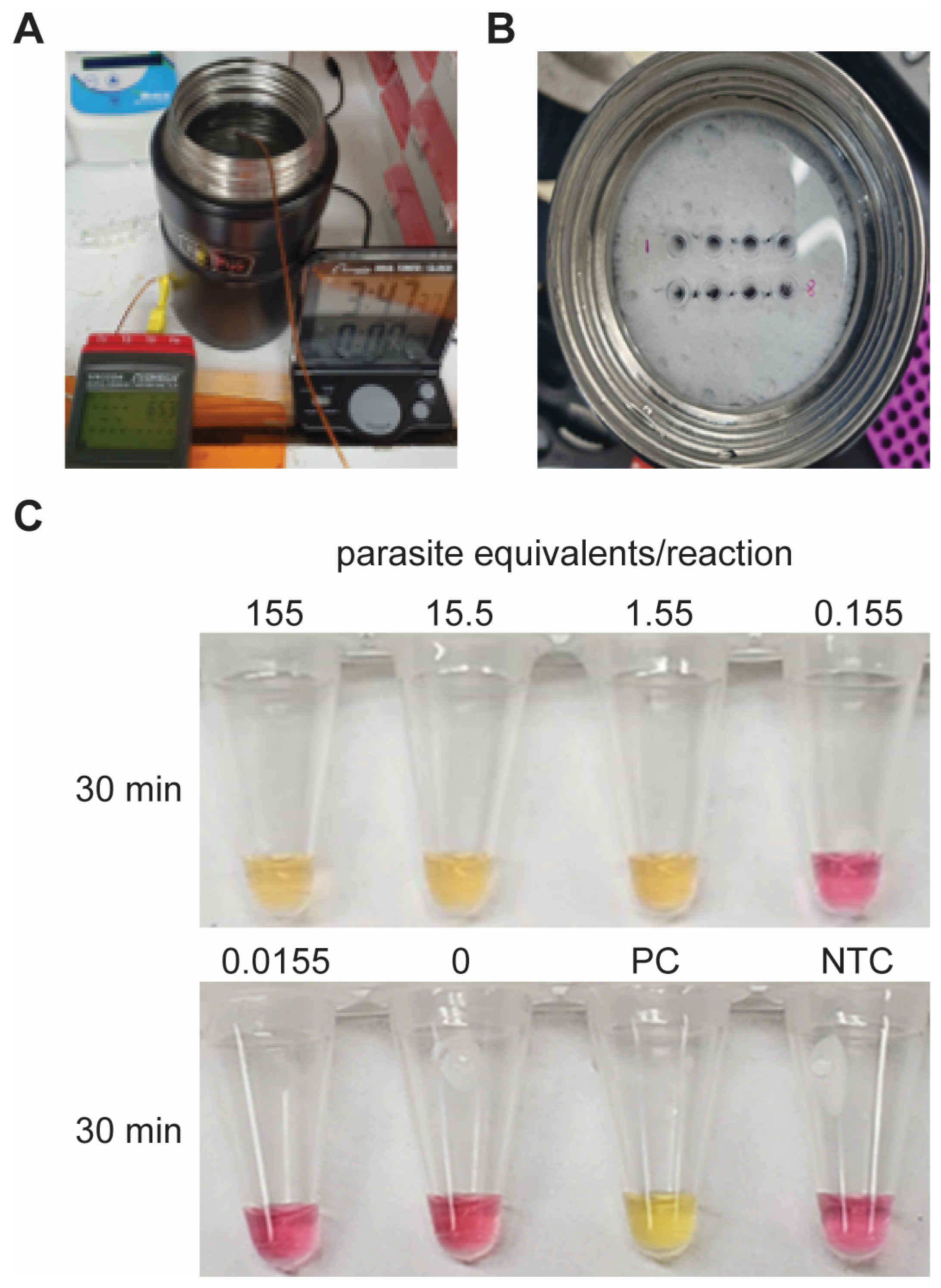 Diagnostics 14 01193 g004
