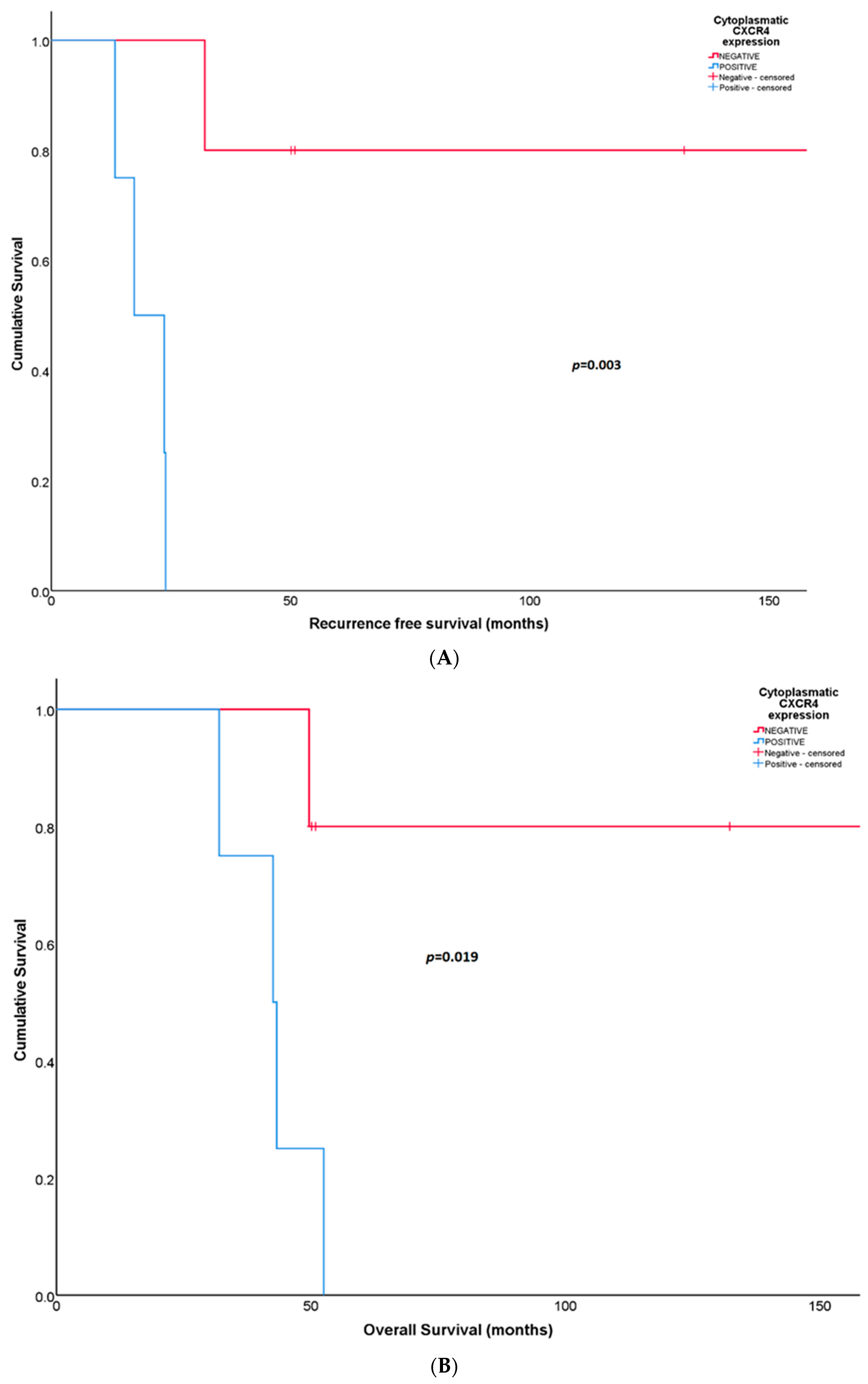 Diagnostics 14 01195 g004