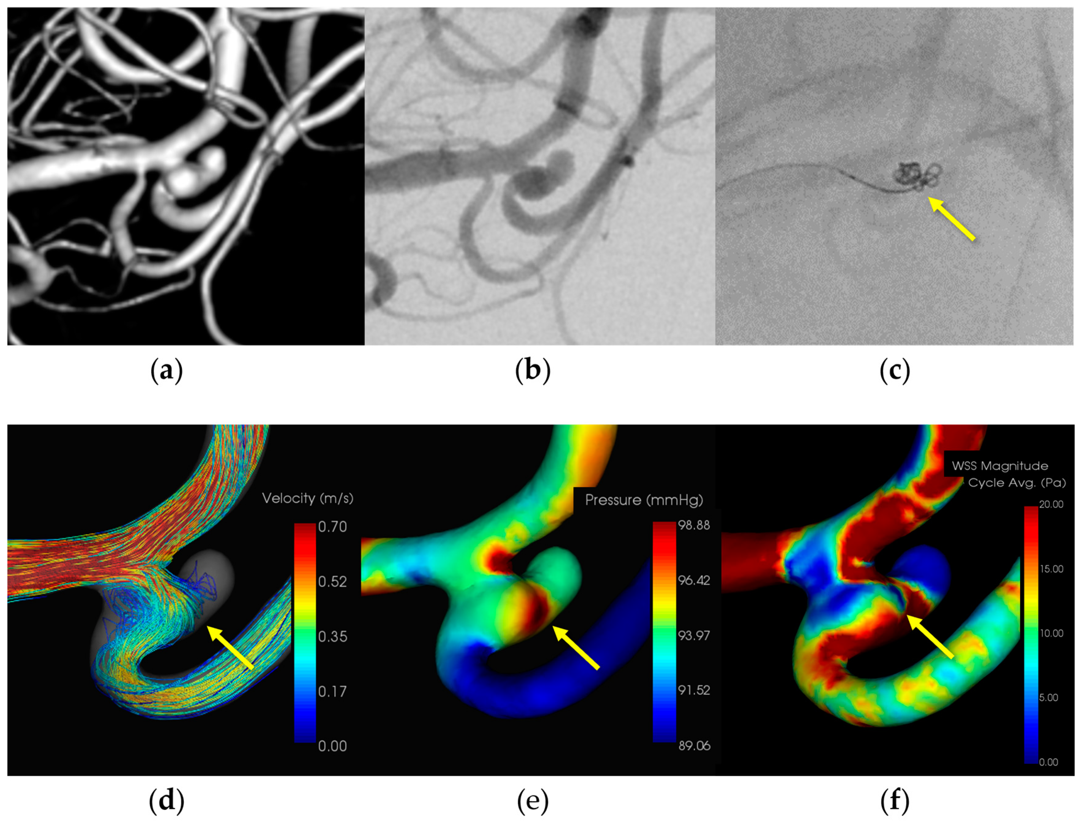 Diagnostics 14 01203 g003