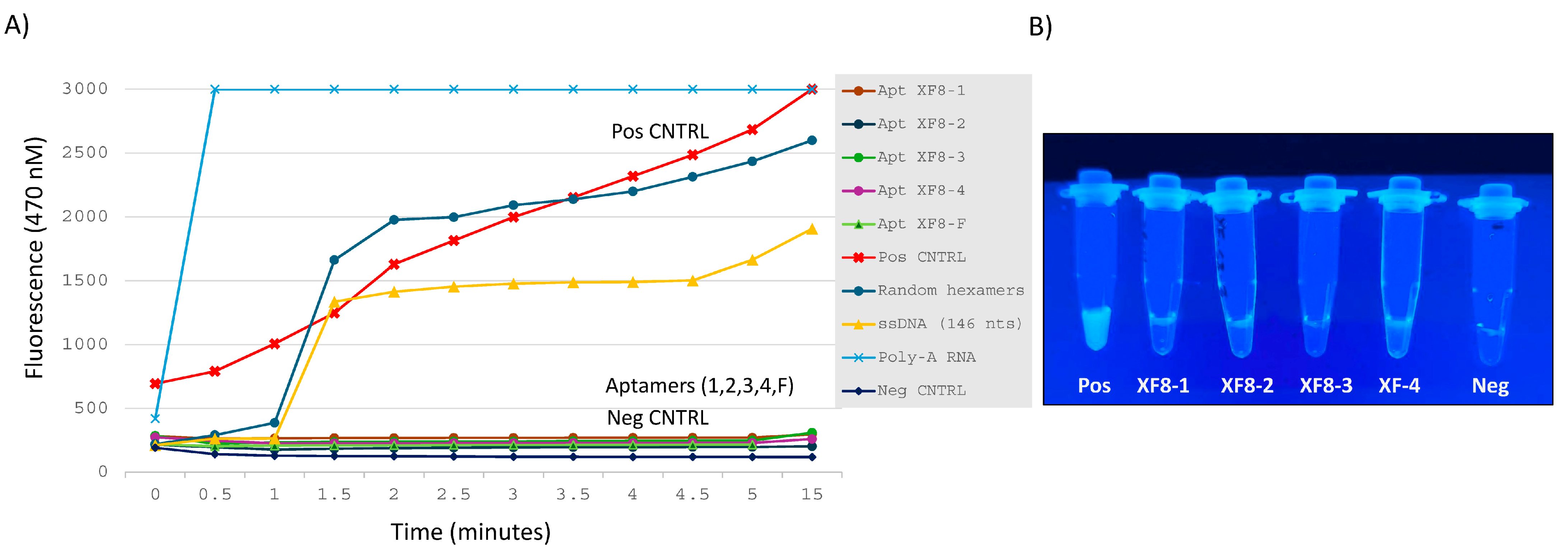 Diagnostics 14 01207 g003