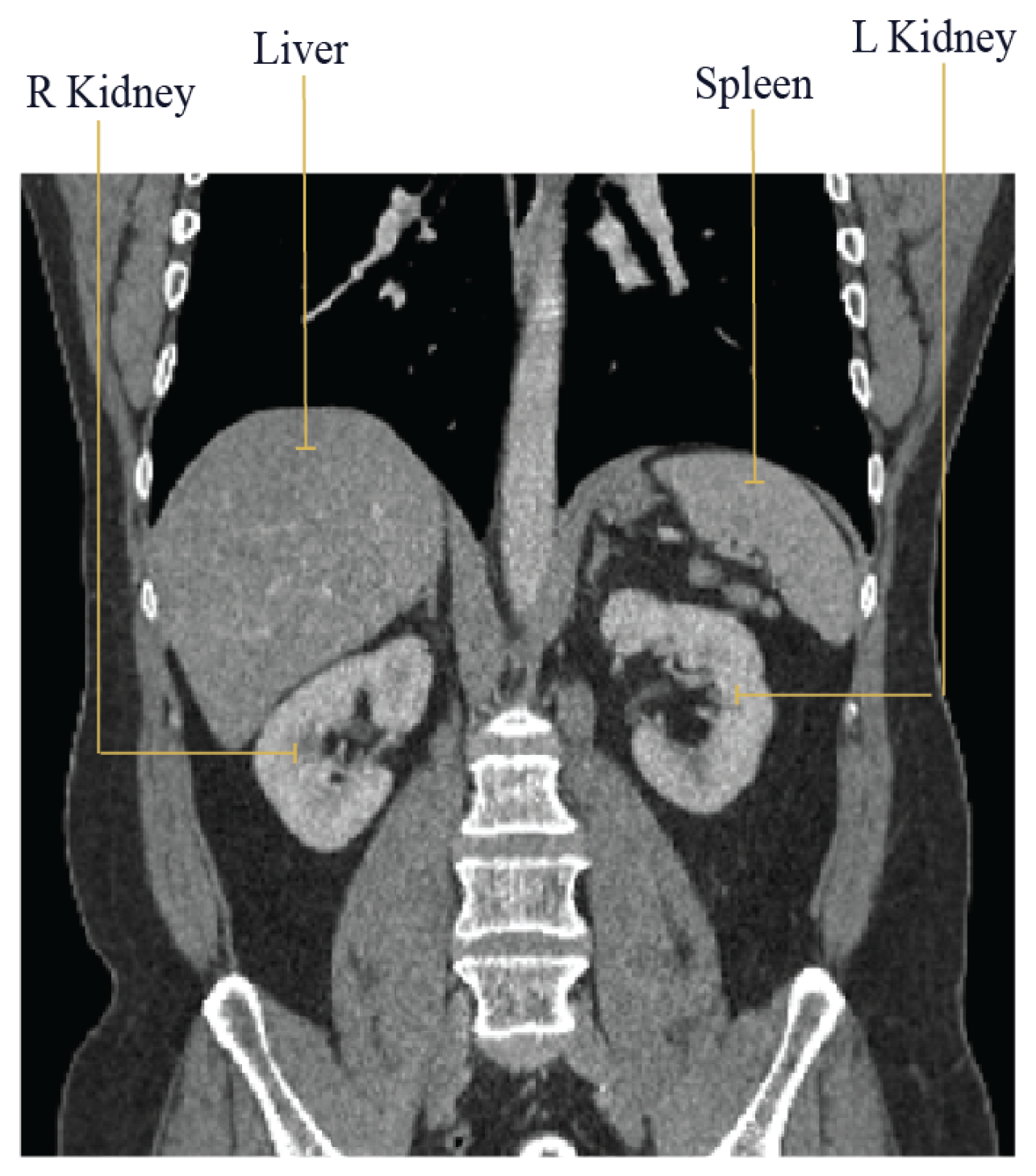 Diagnostics 14 01213 g007