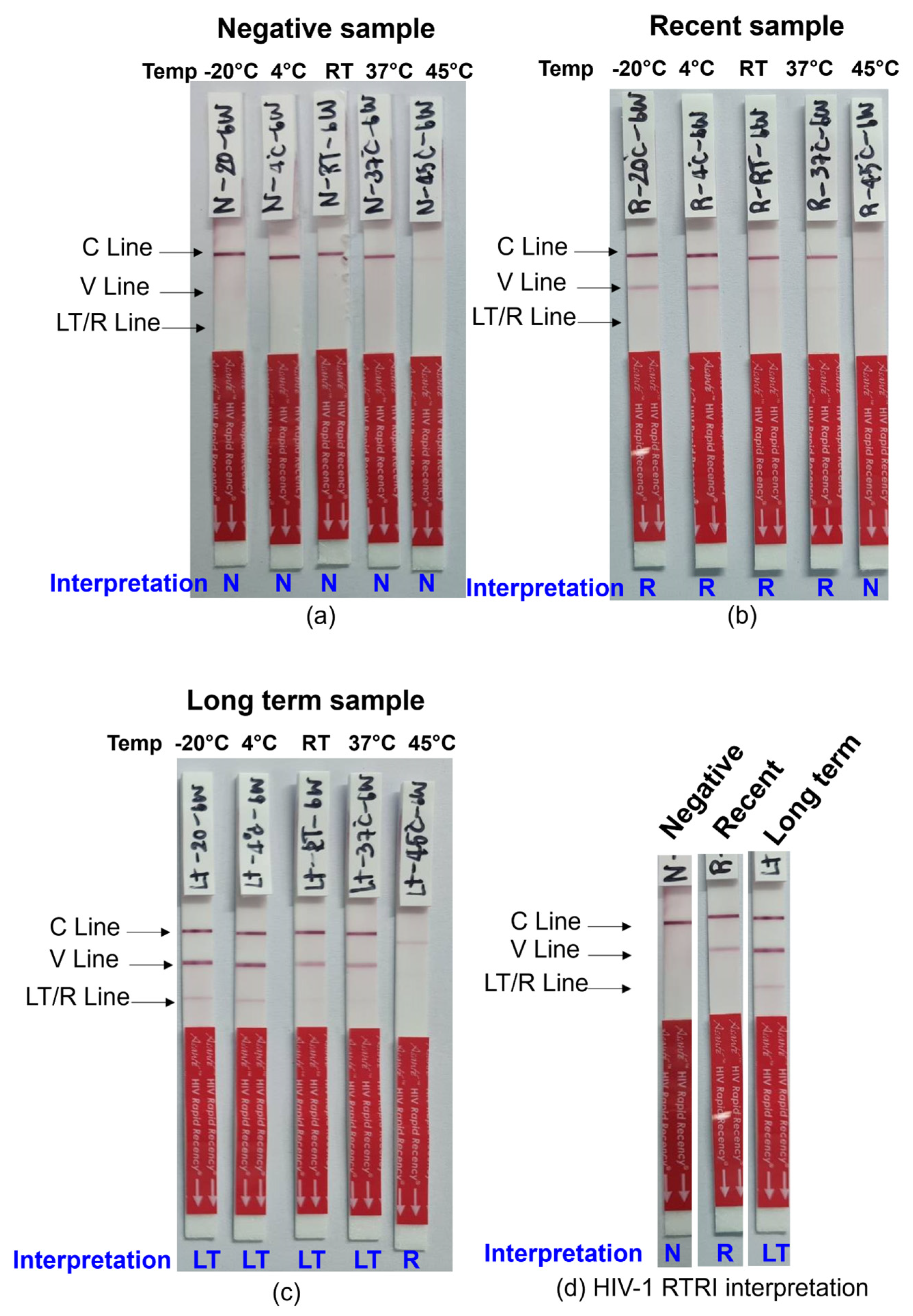 Diagnostics 14 01220 g001