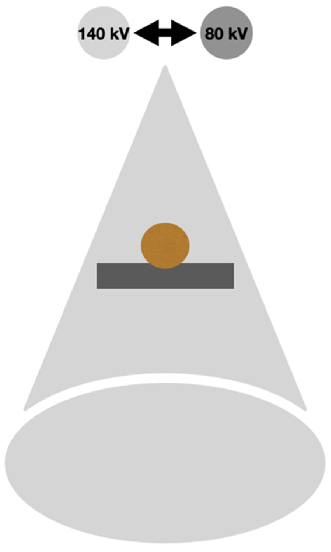 Diagnostics 14 01223 g001