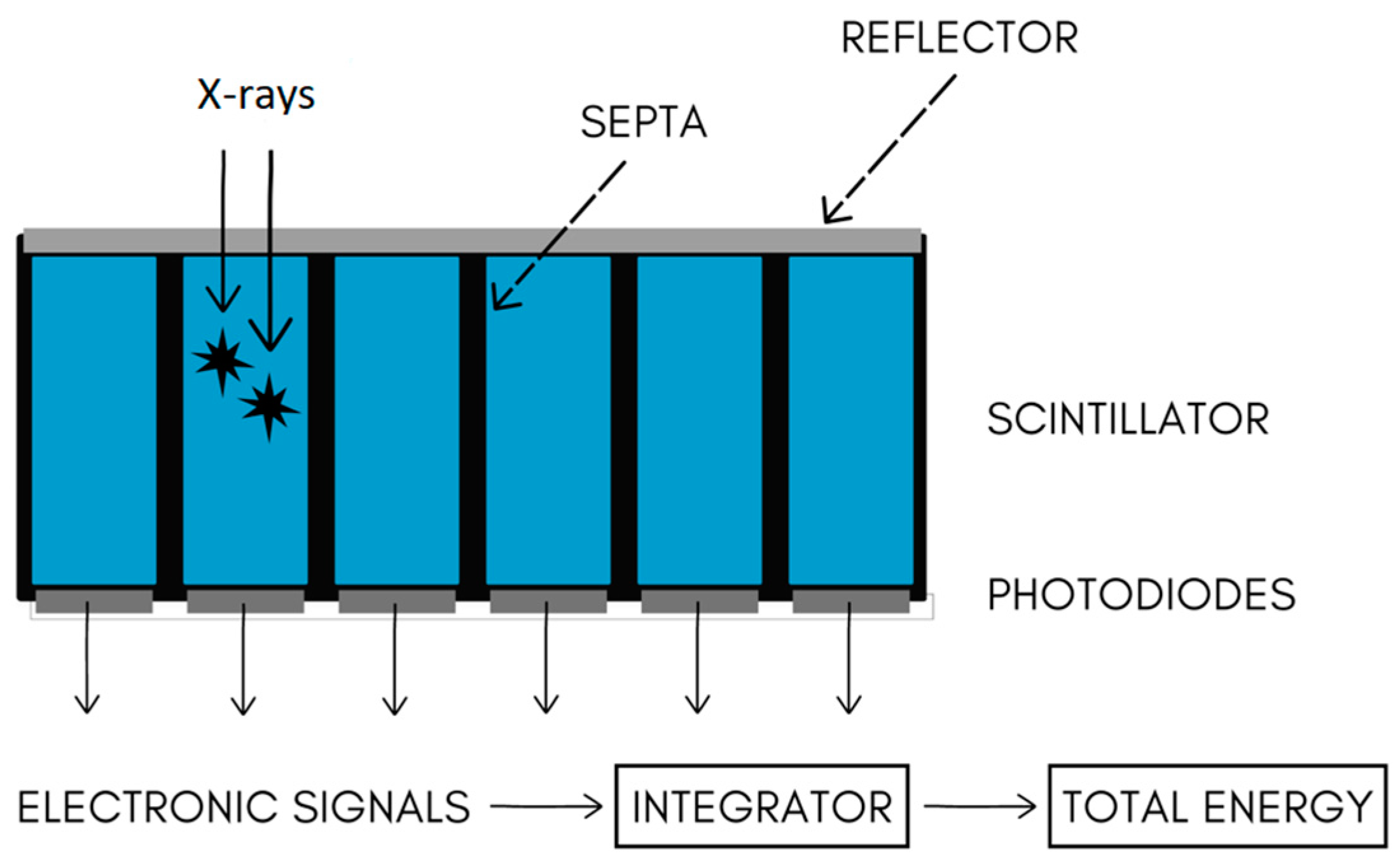 Diagnostics 14 01223 g005