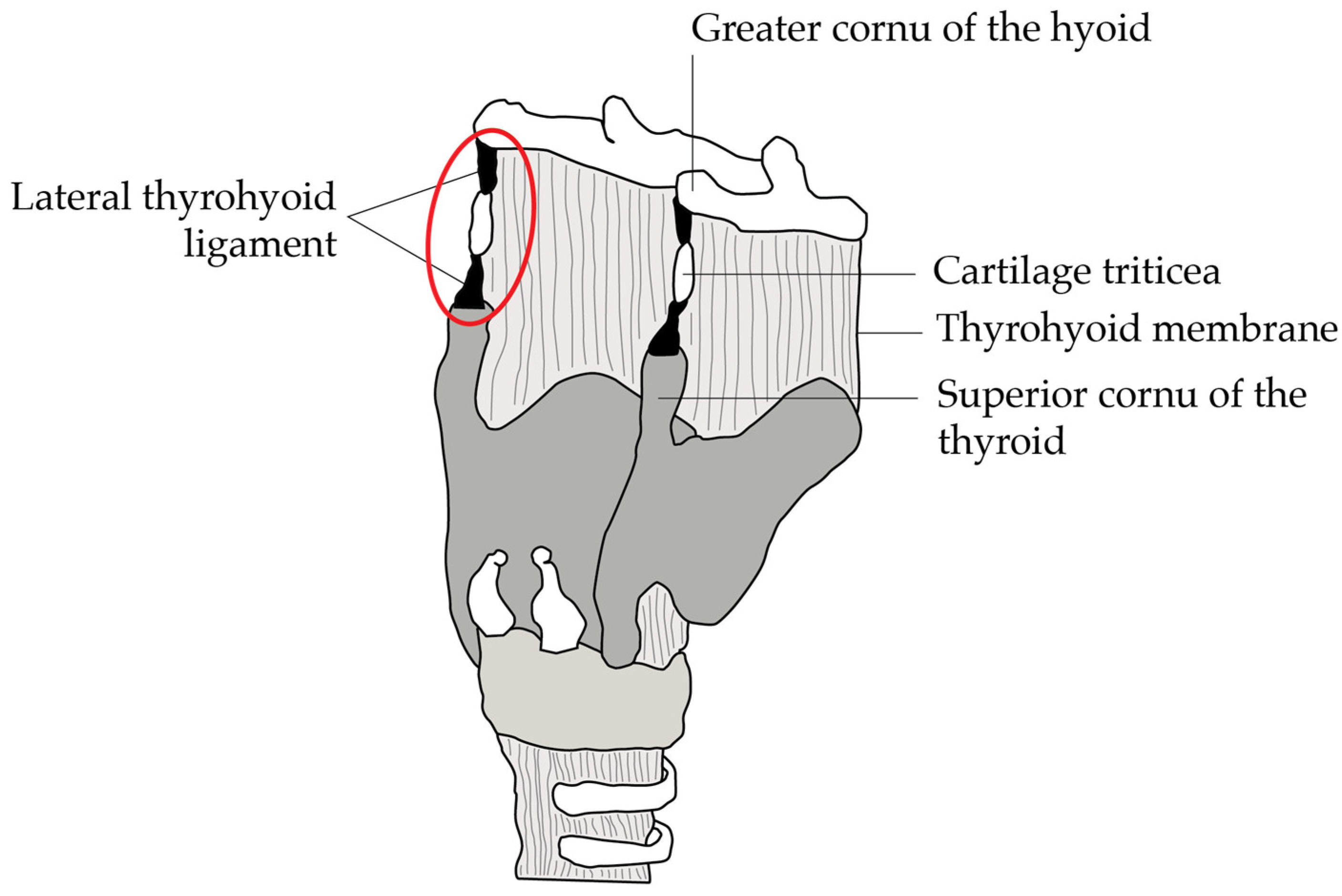 Diagnostics 14 01227 g004