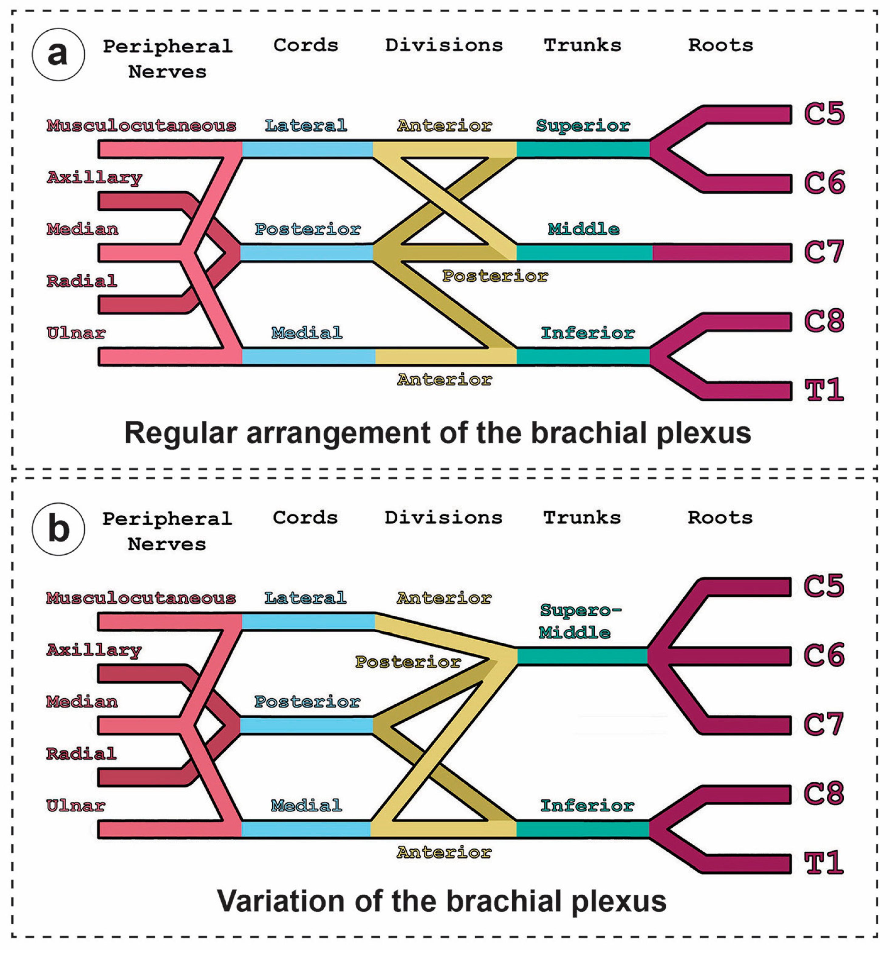 Diagnostics 14 01239 g002