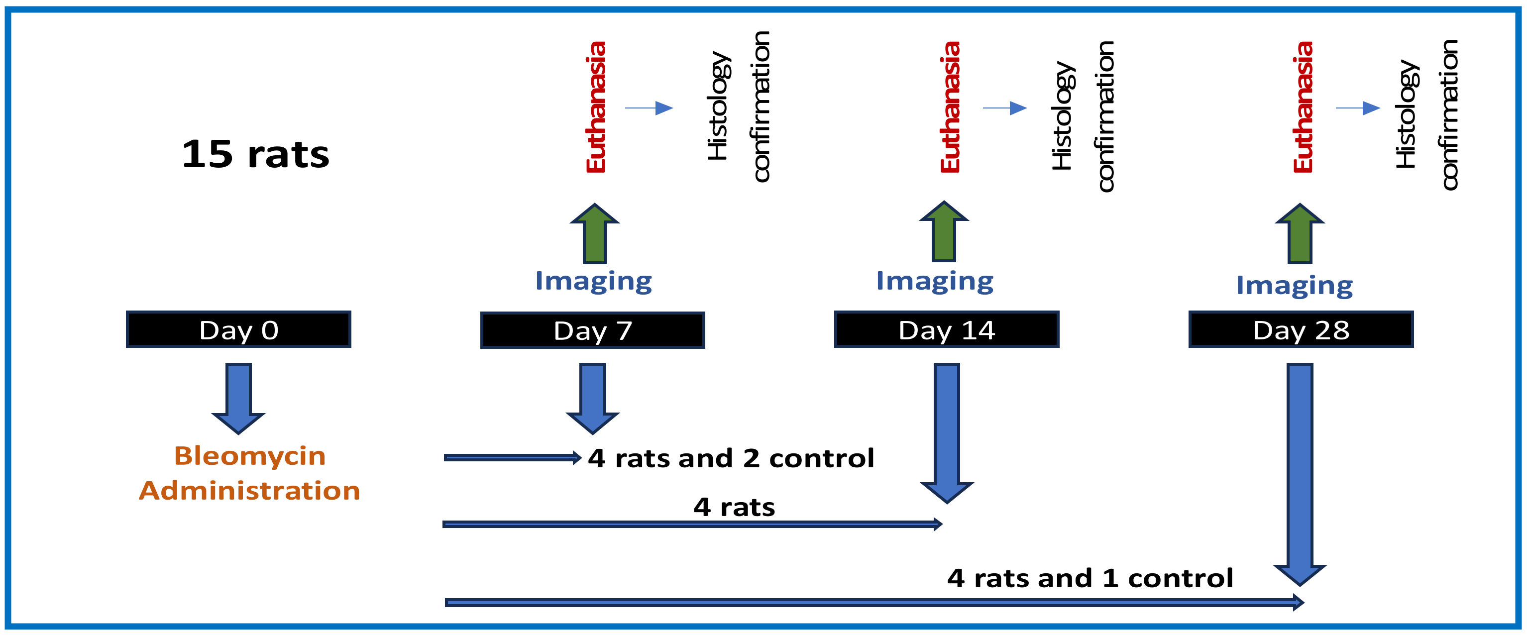 Diagnostics 14 01243 g004