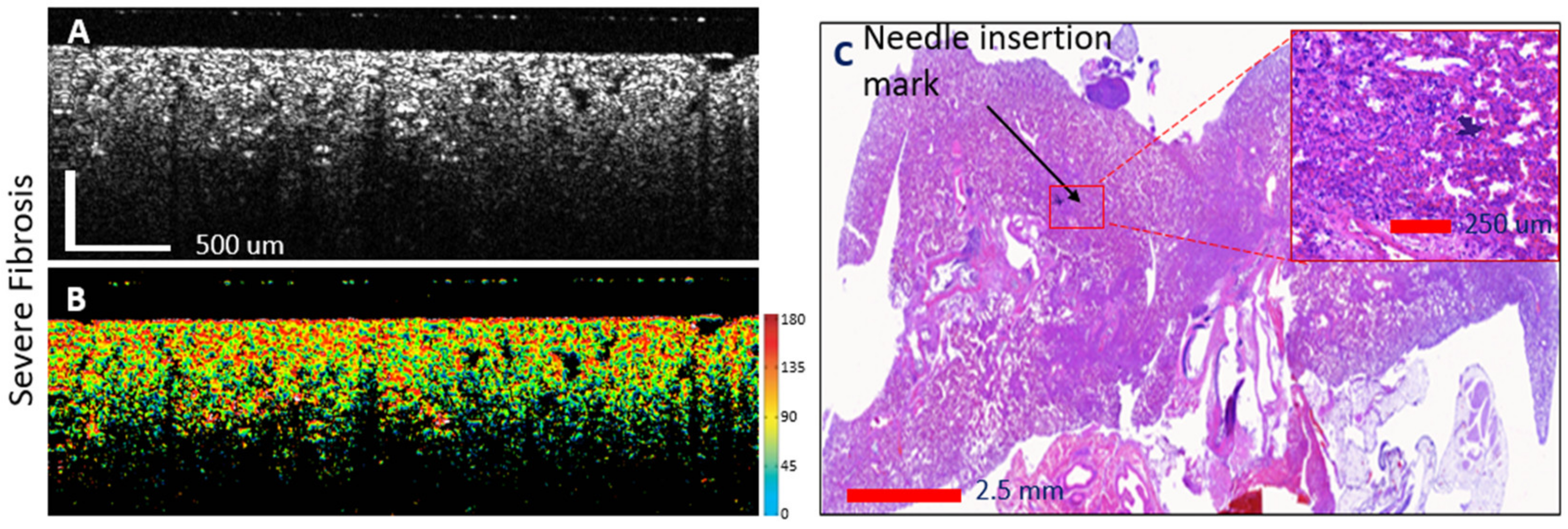 Diagnostics 14 01243 g007