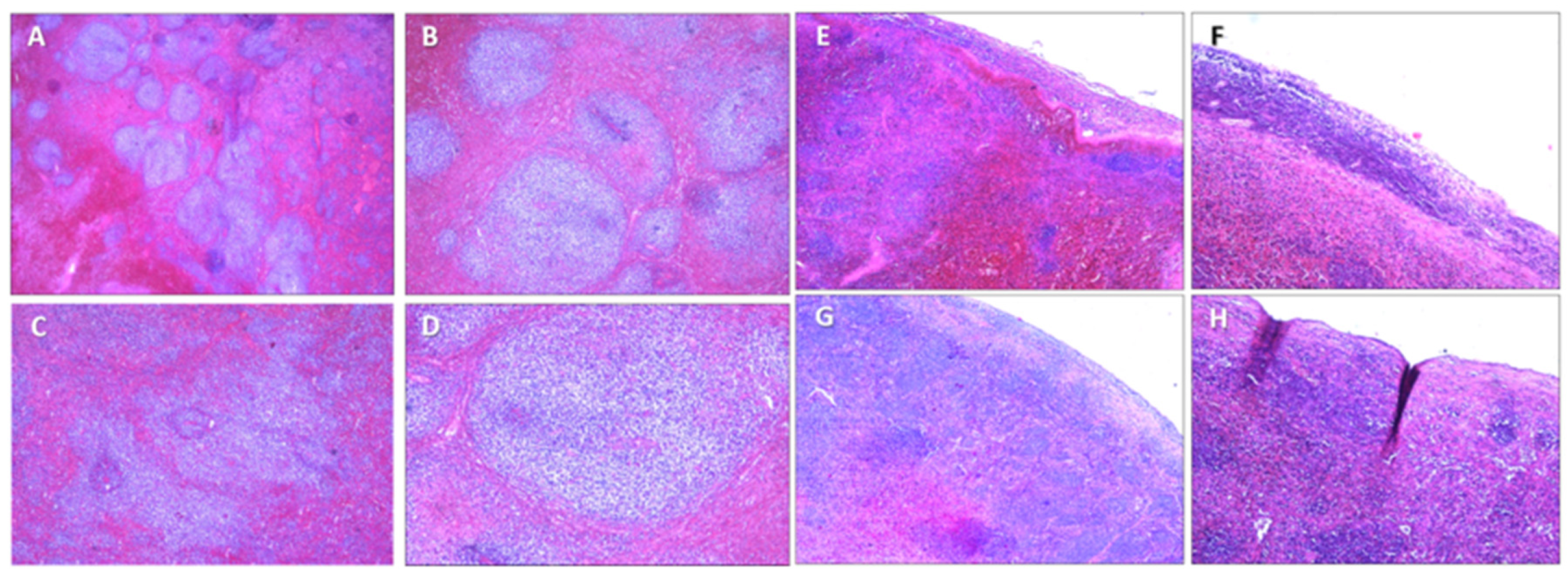 Diagnostics 14 01254 g005