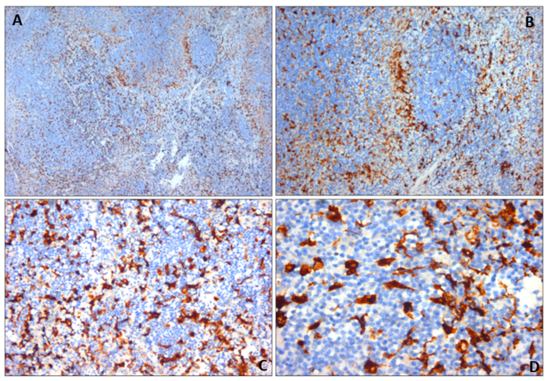 Diagnostics 14 01254 g007