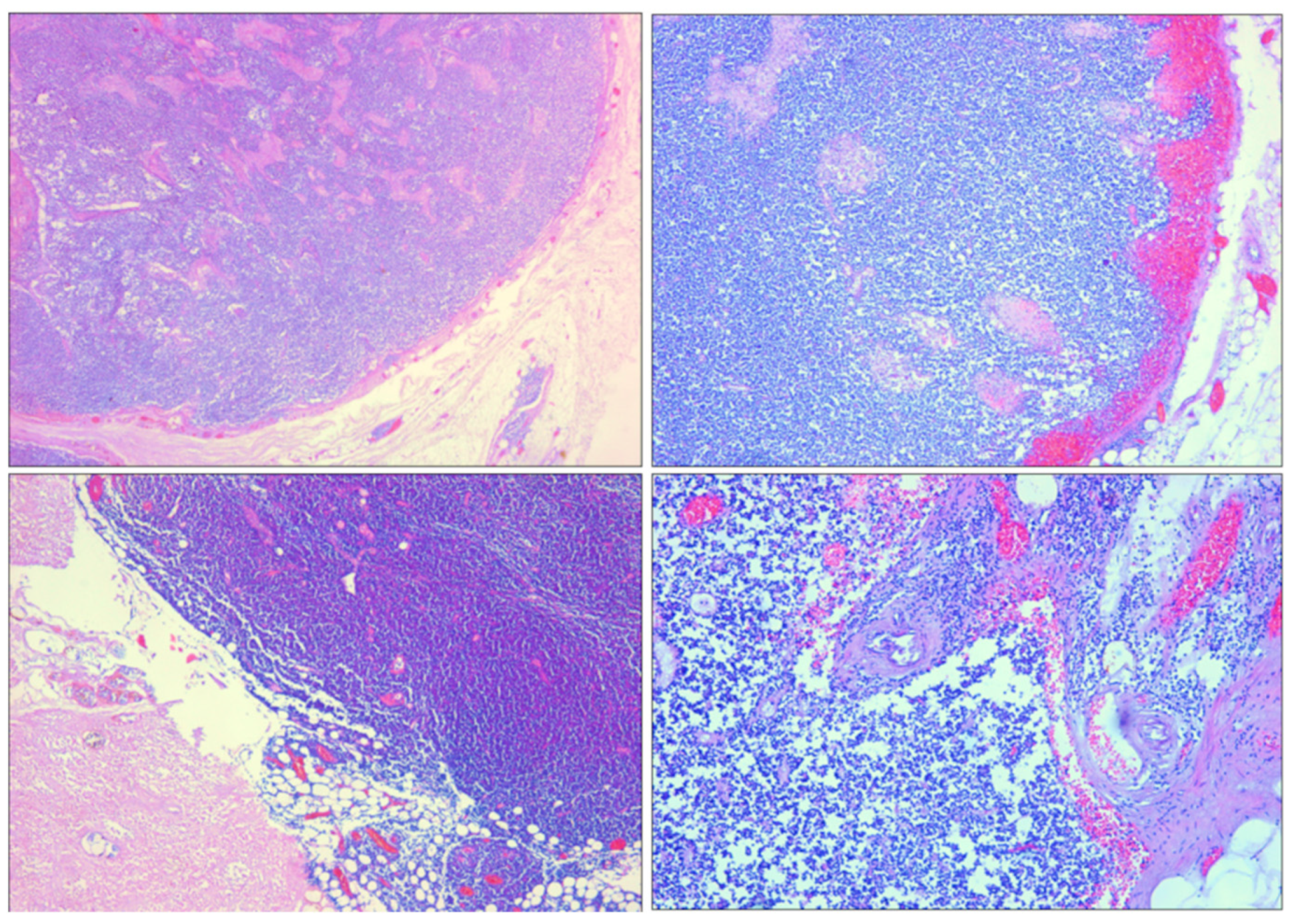 Diagnostics 14 01254 g009