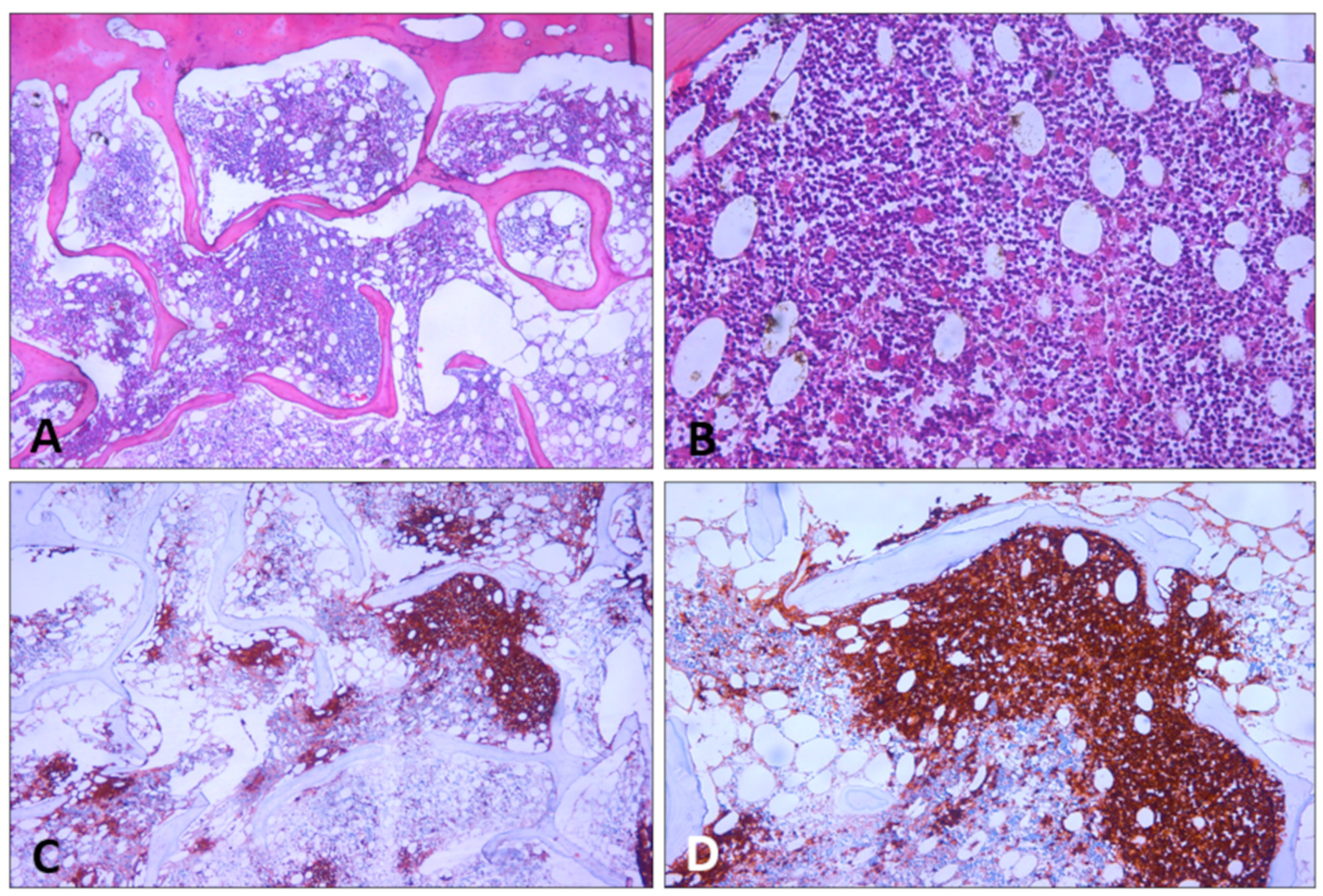 Diagnostics 14 01254 g010