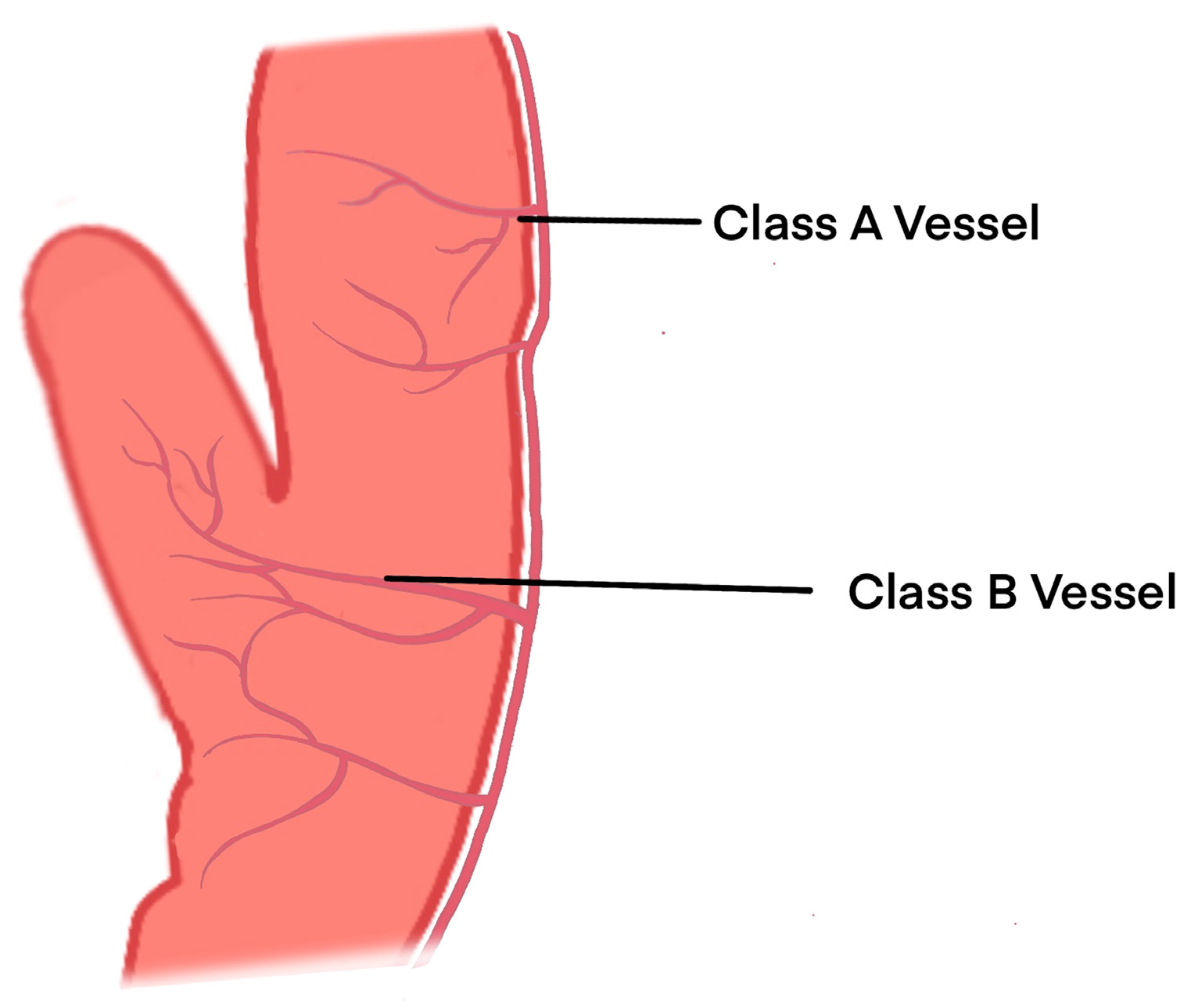 Diagnostics 14 01270 g003 Diagnostics 14 01270 g003
