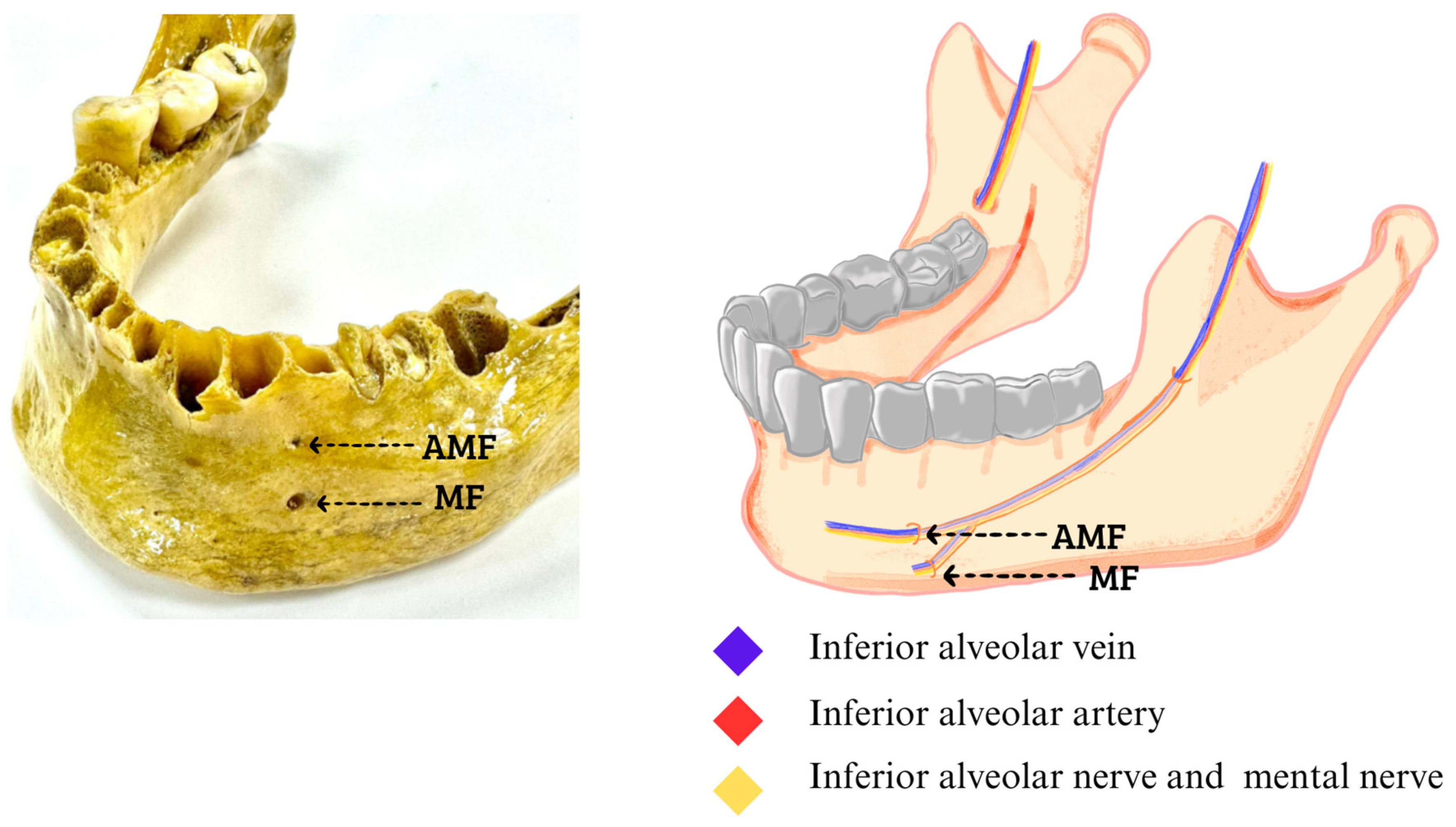 Diagnostics 14 01277 g002