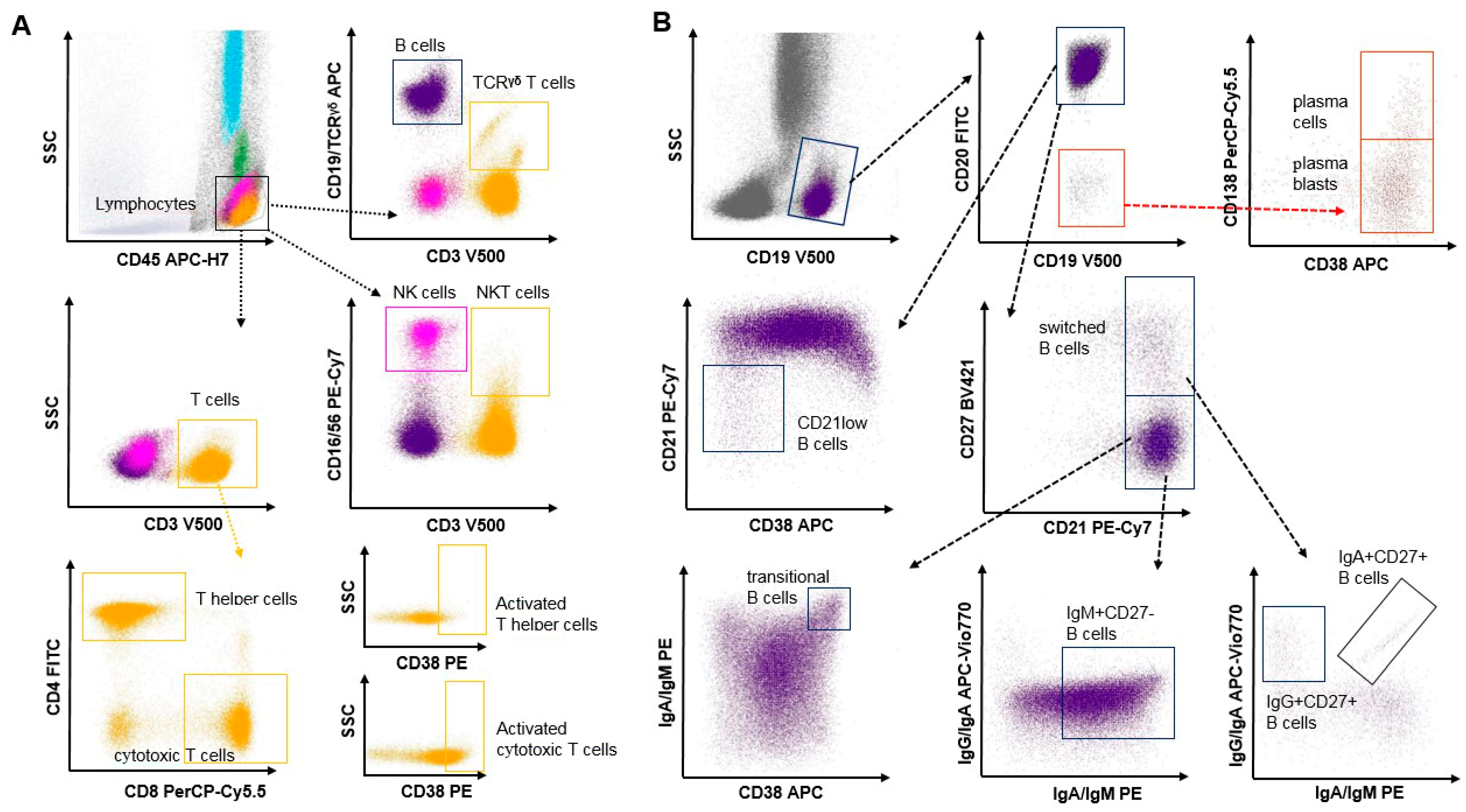 Diagnostics 14 01286 g001