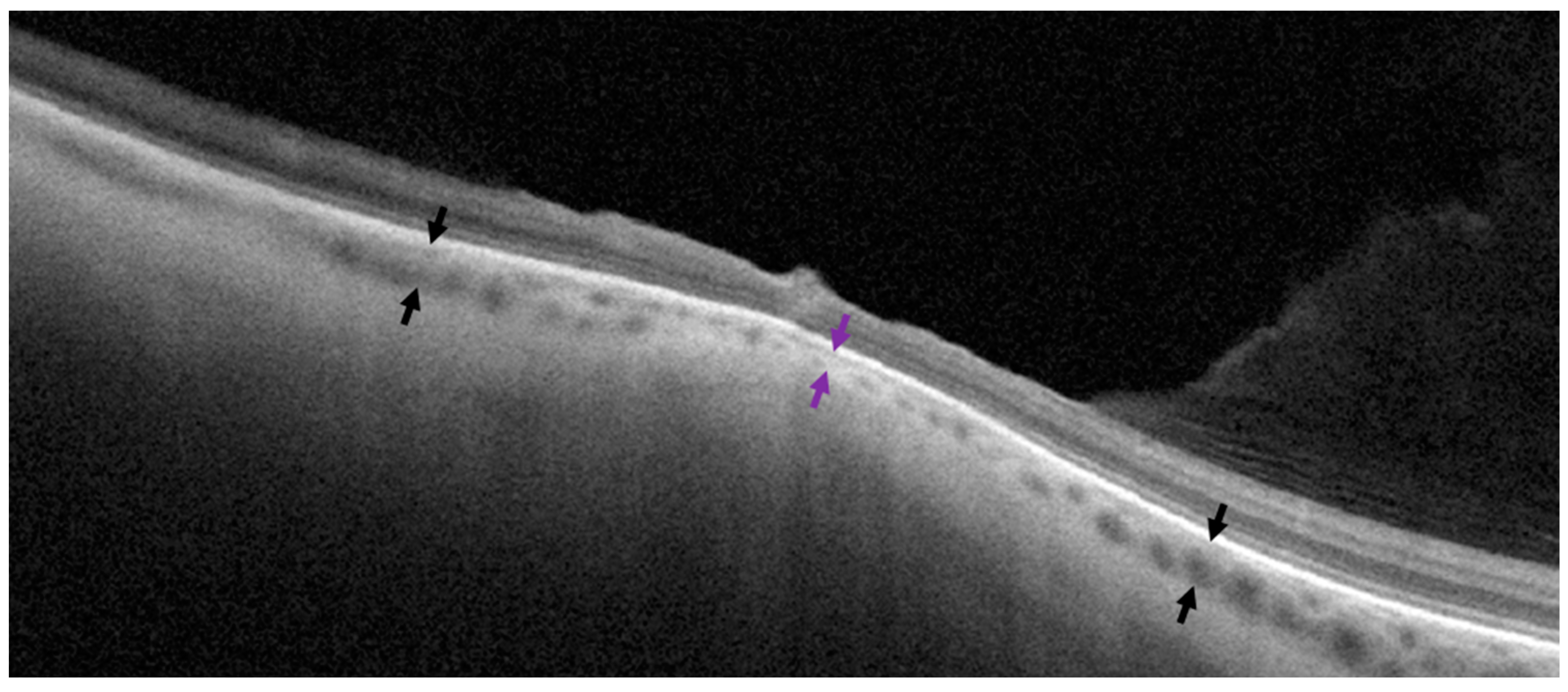 Diagnostics 14 01295 g002