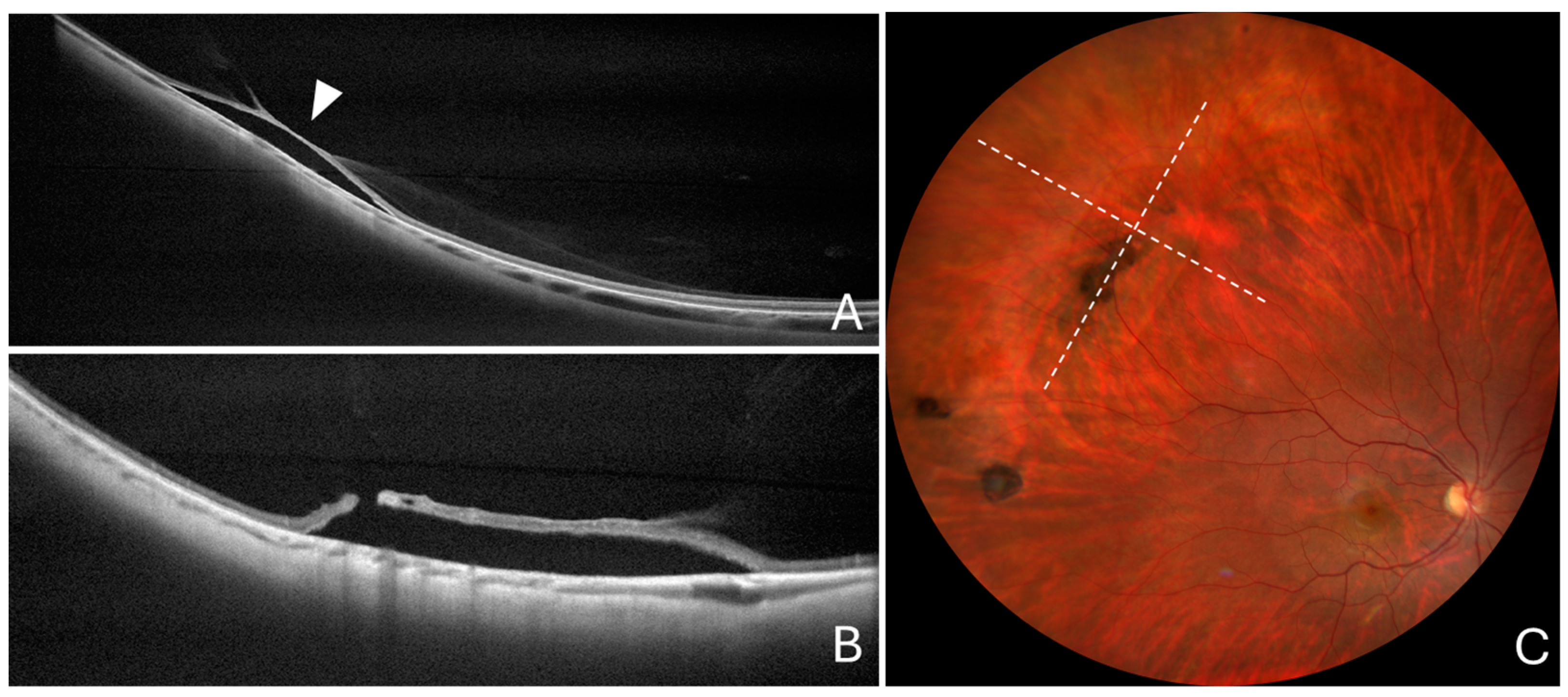 Diagnostics 14 01295 g006