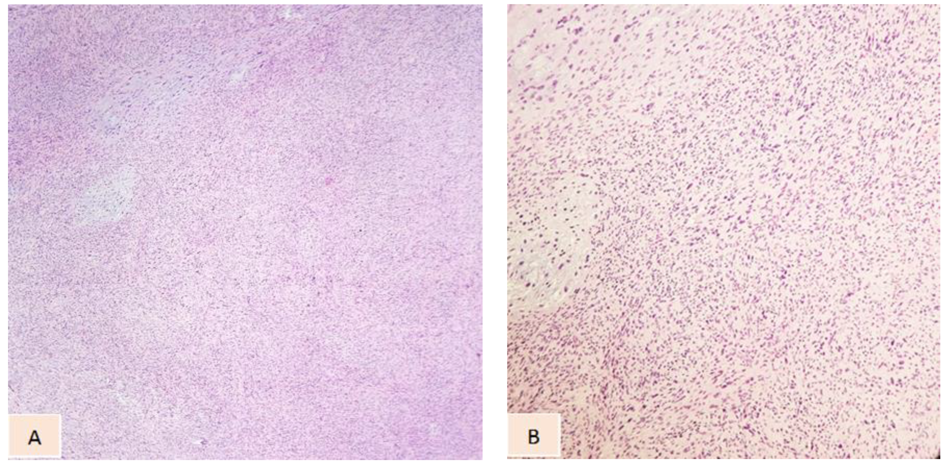 Diagnostics 14 01298 g003