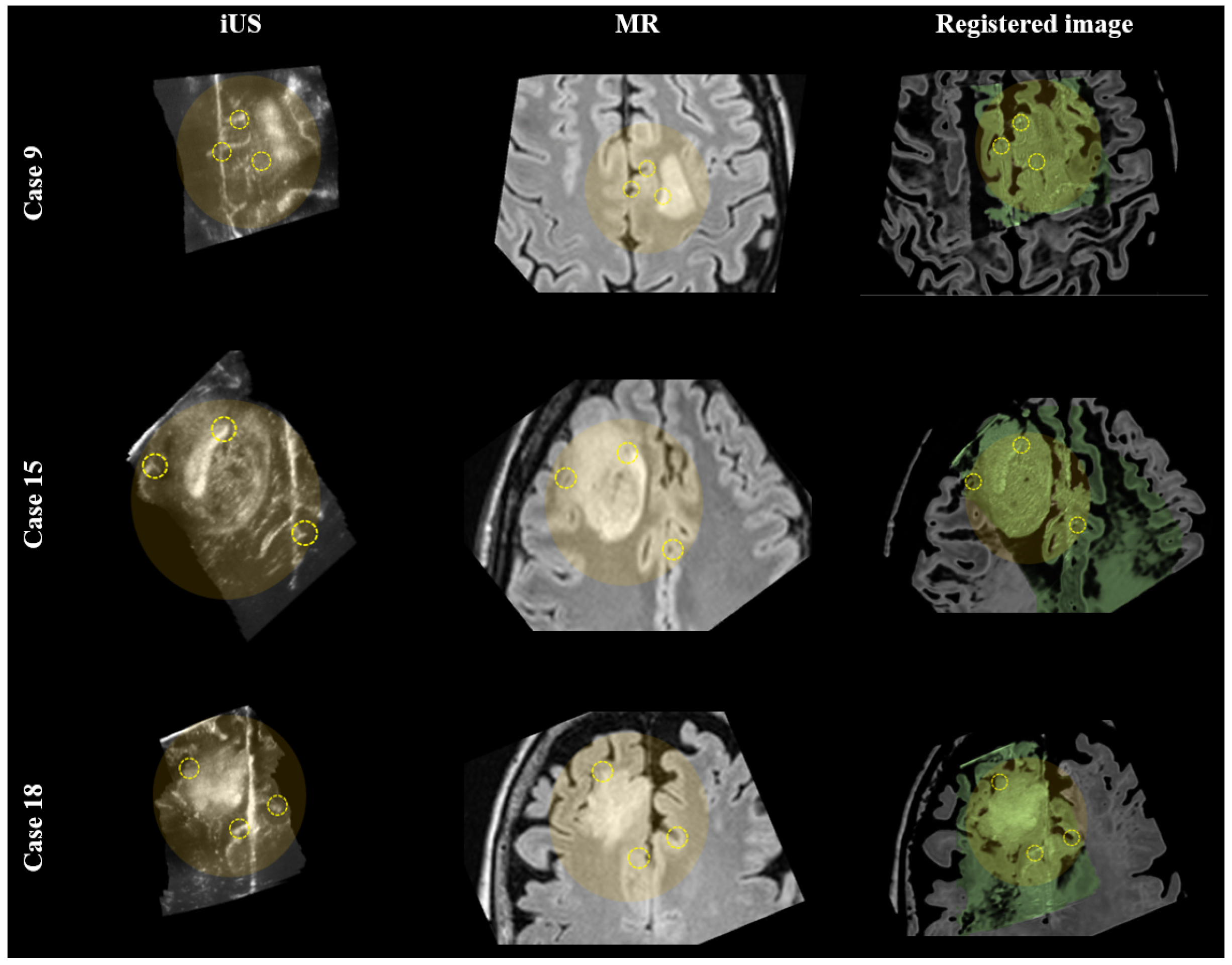 Diagnostics 14 01319 g003