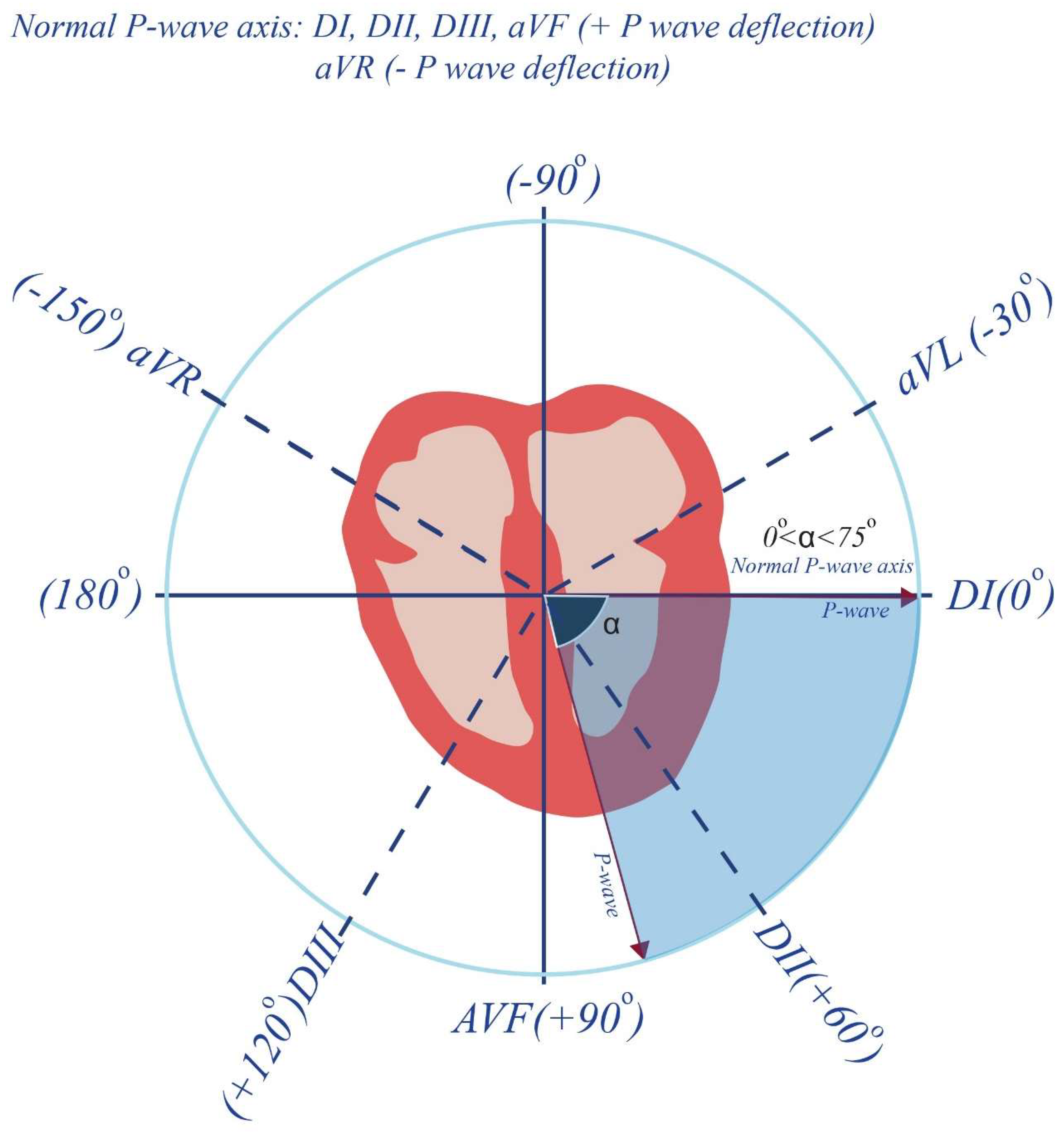 Diagnostics 14 01326 g002