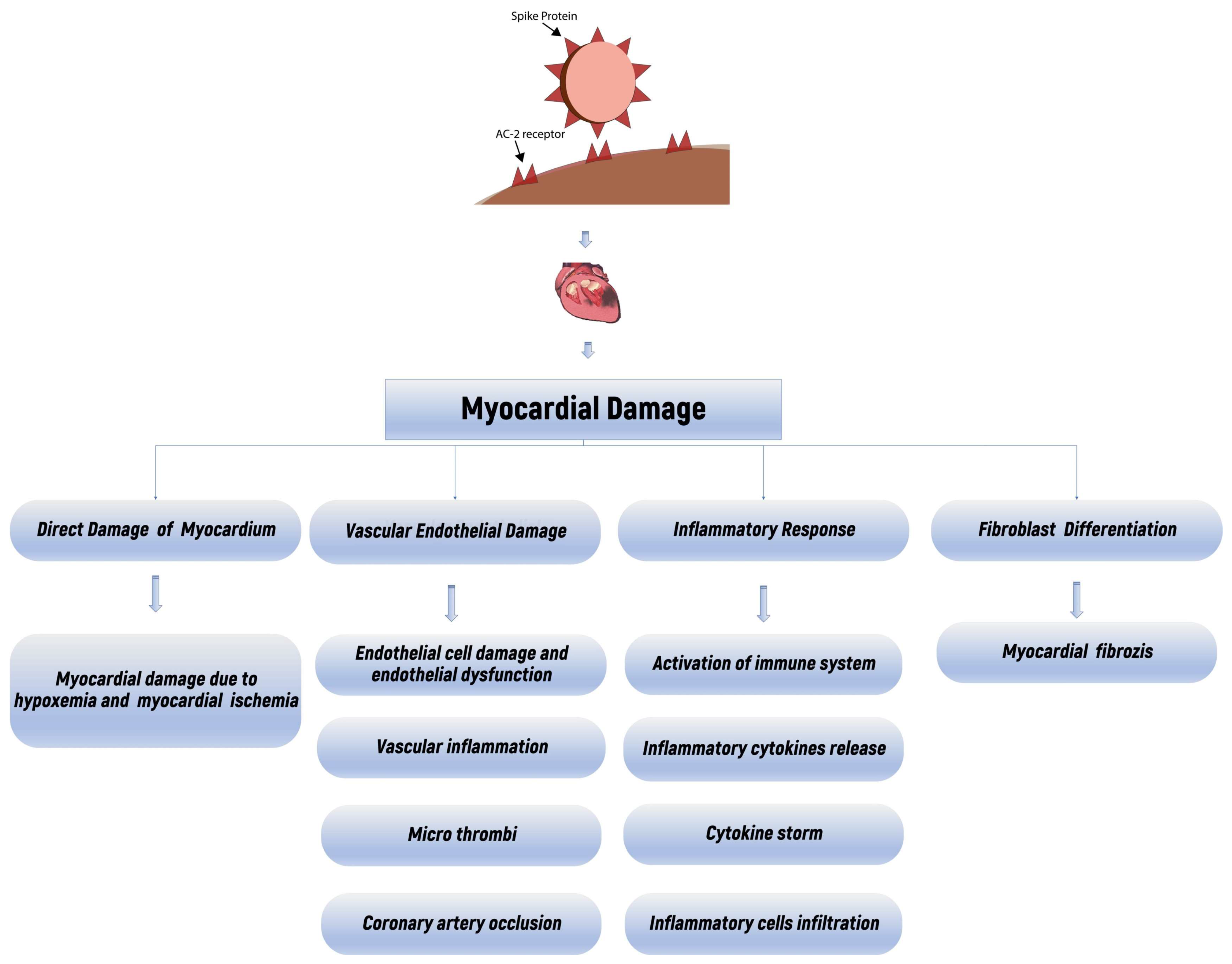 Diagnostics 14 01326 g003