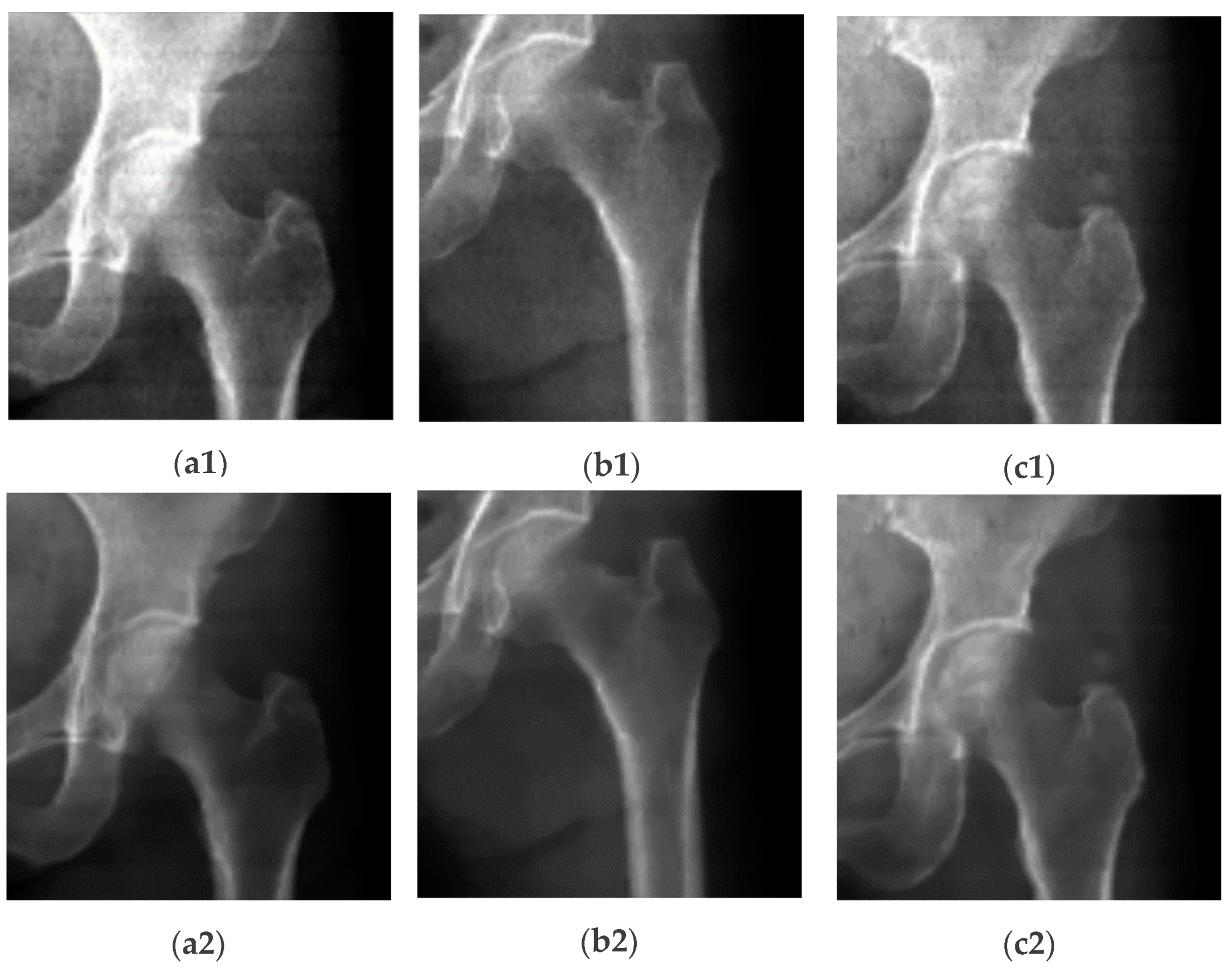 Diagnostics 14 01328 g003