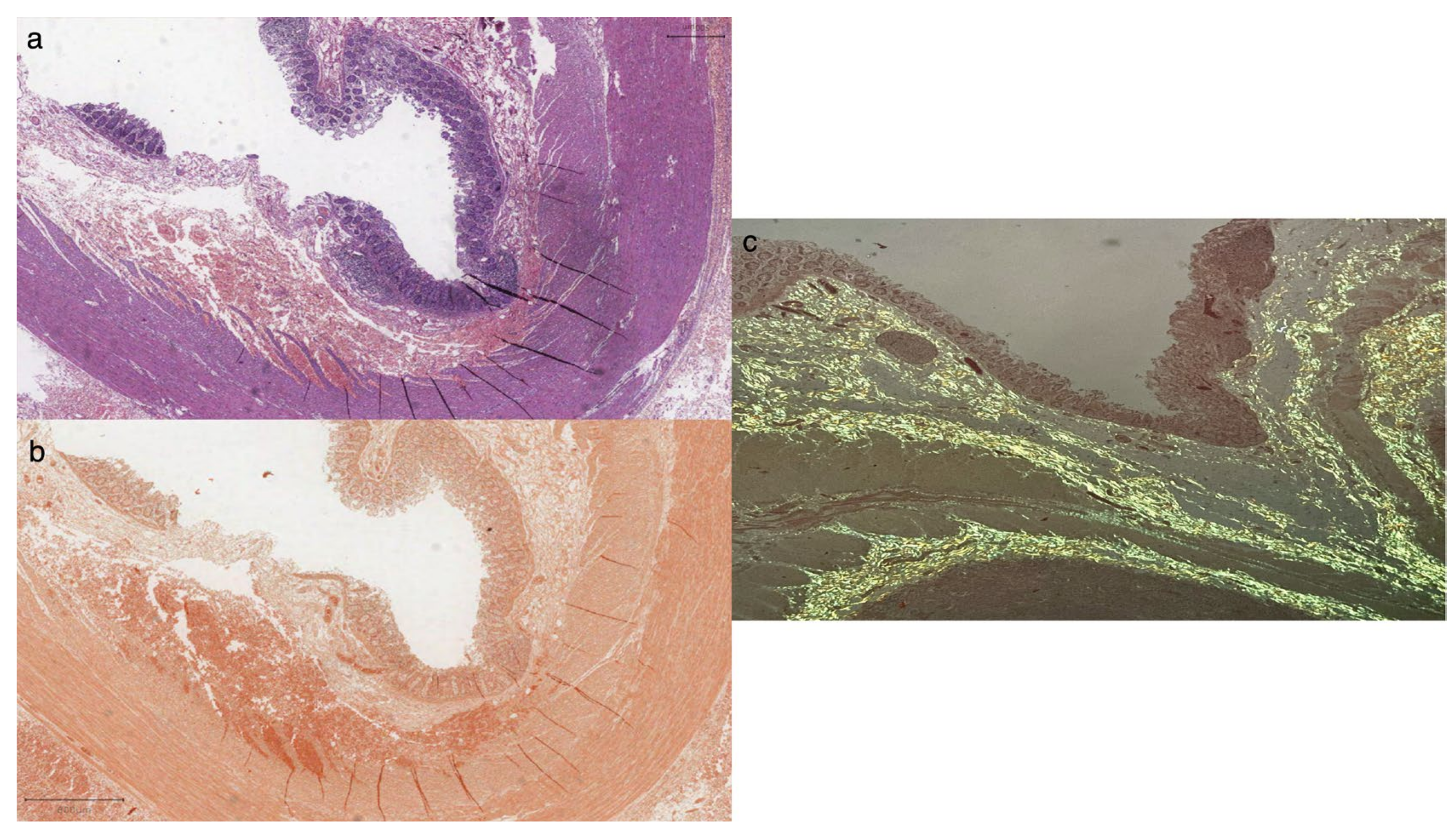 Diagnostics 14 01337 g003 Diagnostics 14 01337 g003