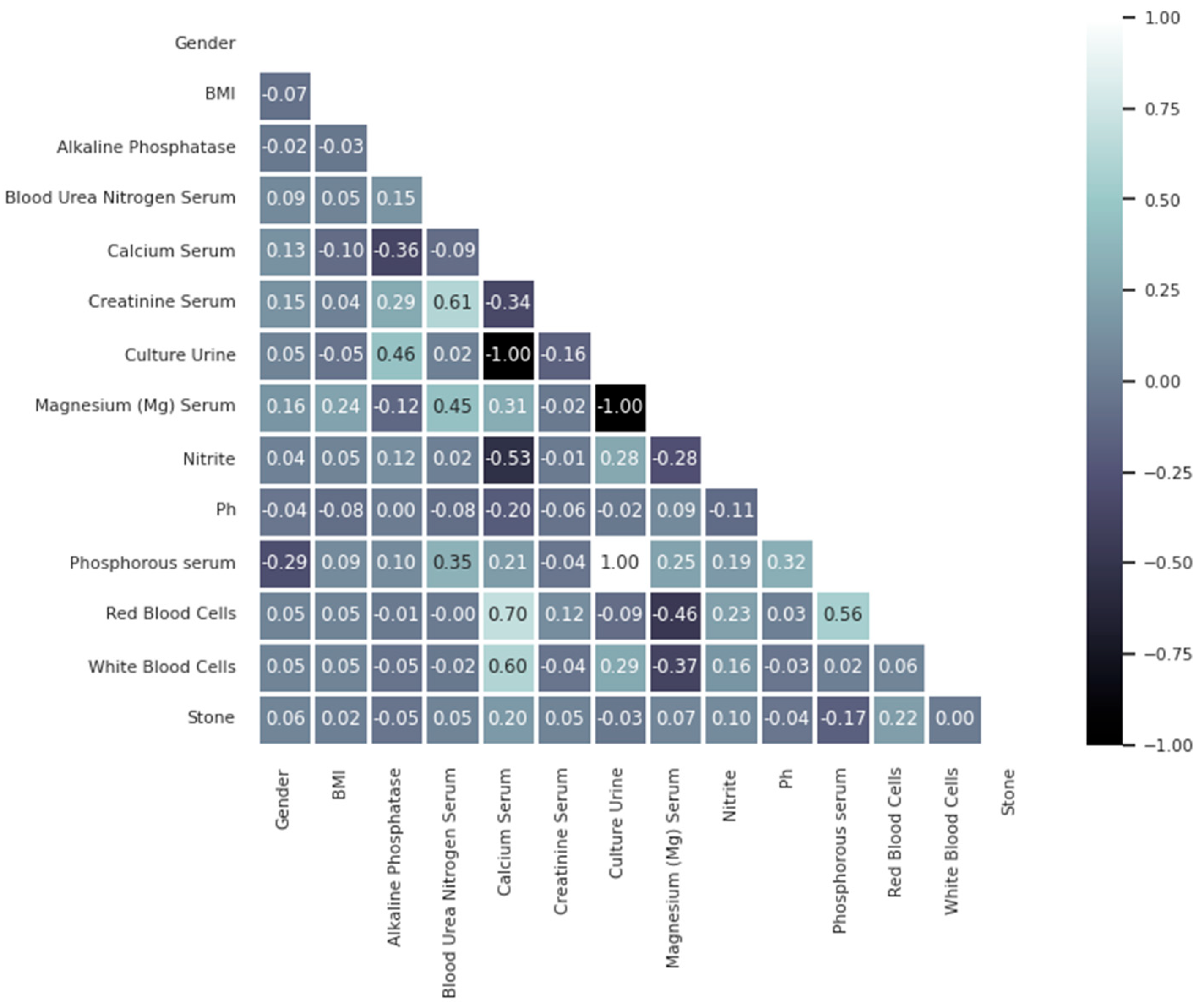 Diagnostics 14 01343 g004
