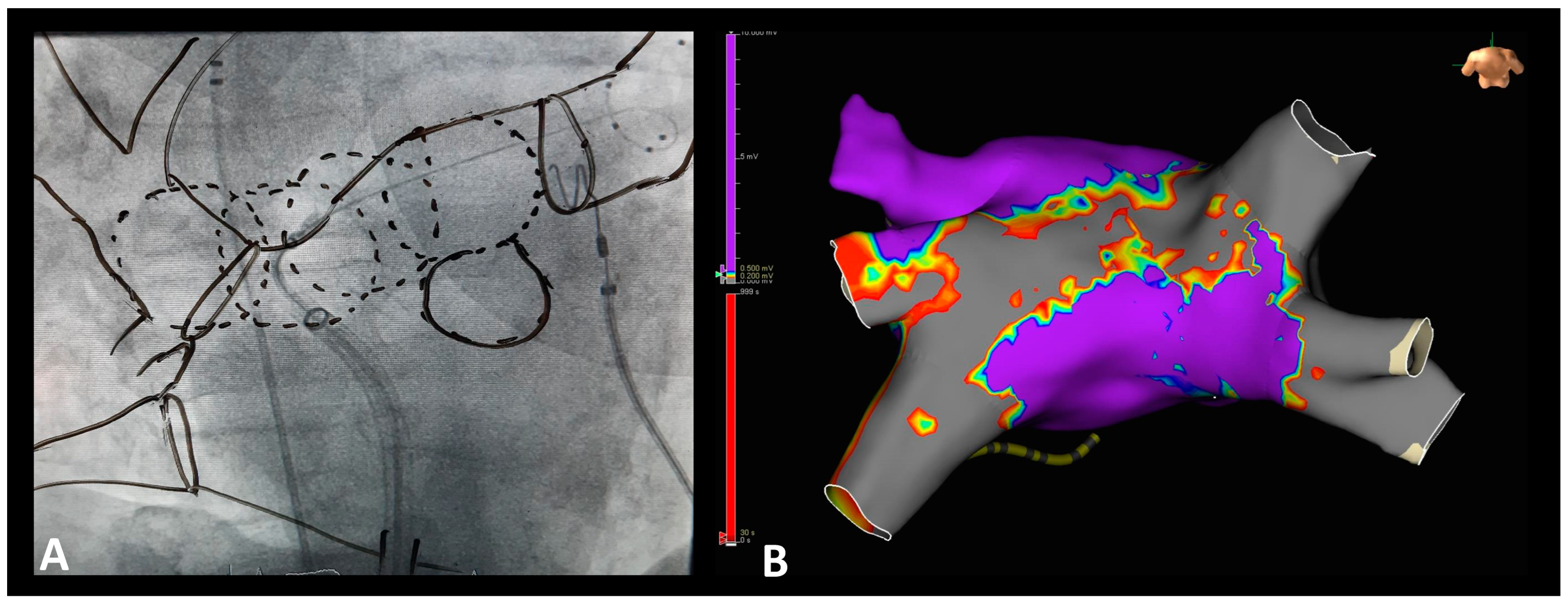 Diagnostics 14 01370 g002