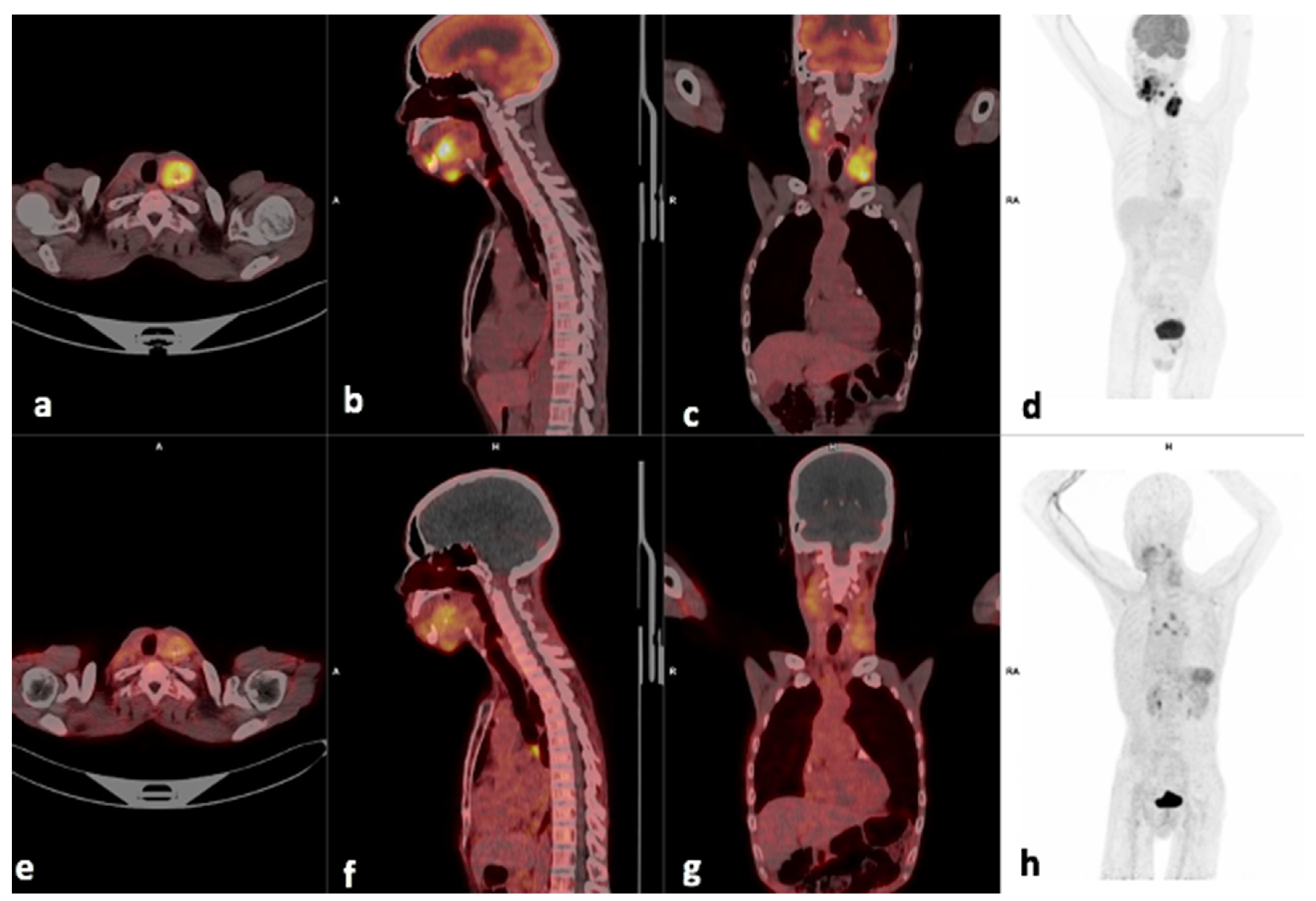 Diagnostics 14 01375 g002 Diagnostics 14 01375 g002