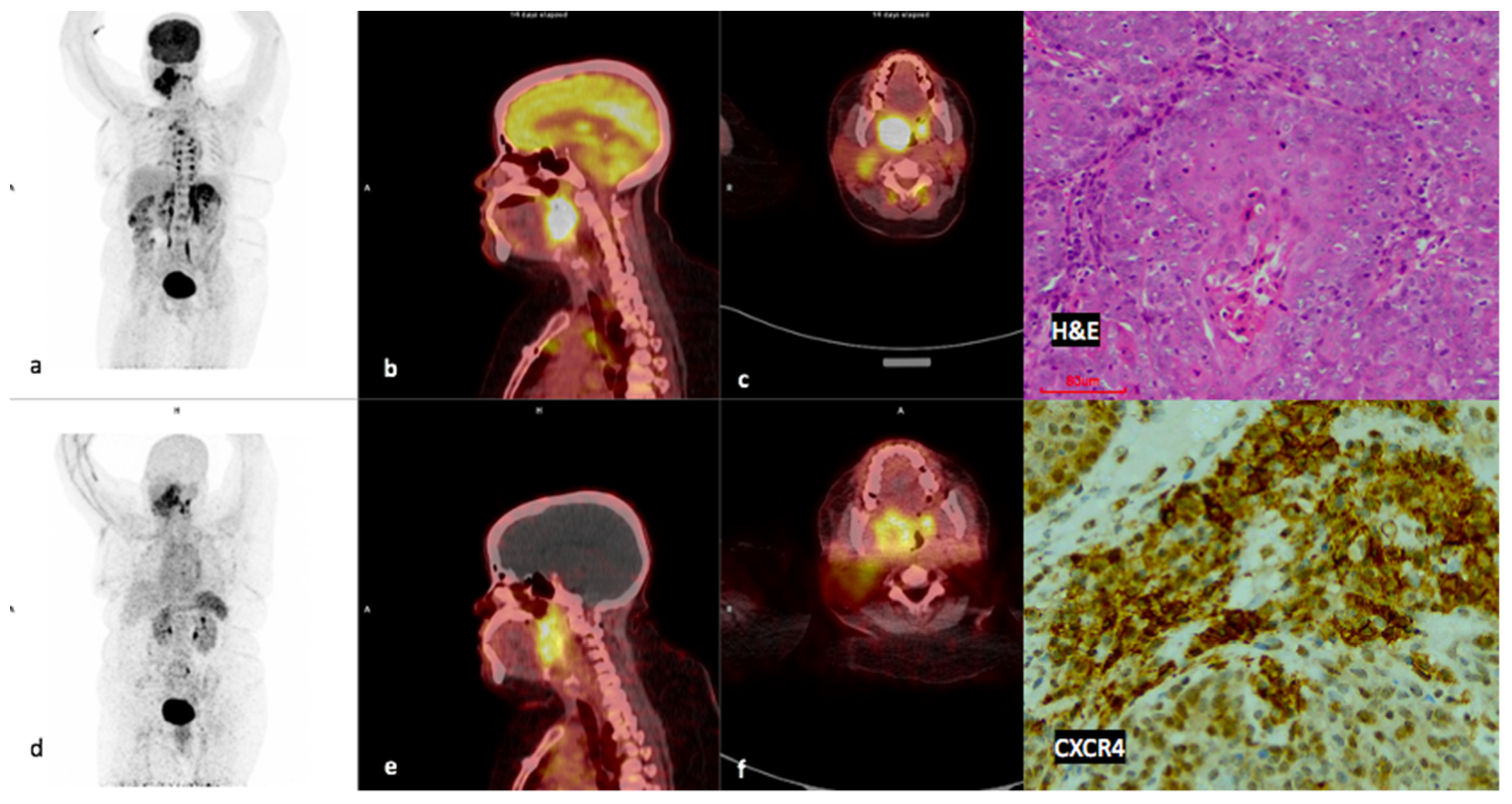 Diagnostics 14 01375 g004 Diagnostics 14 01375 g004