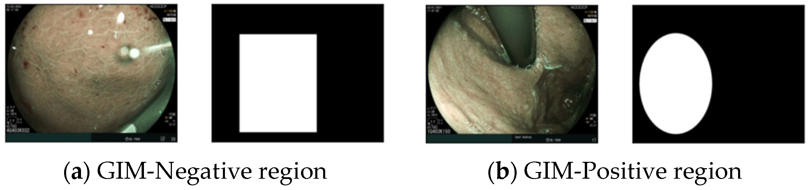 Diagnostics 14 01376 g001