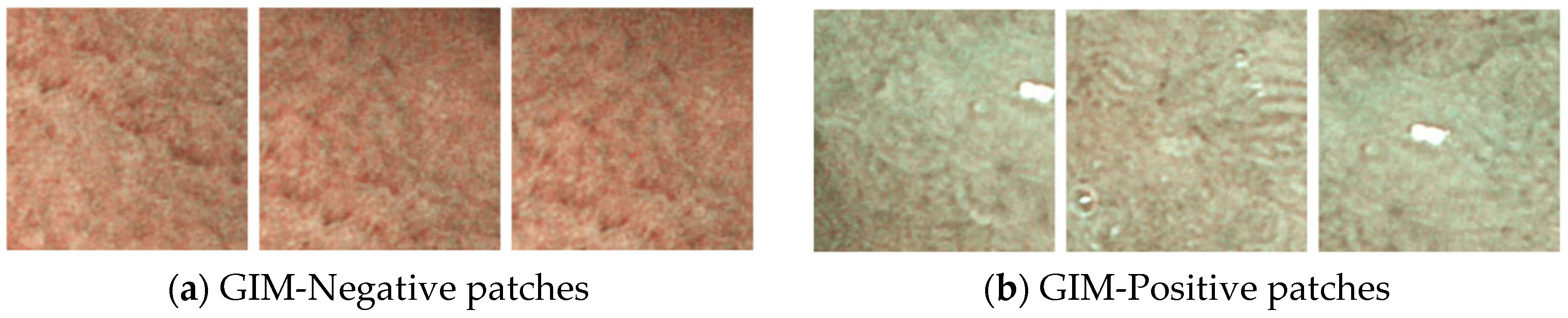 Diagnostics 14 01376 g002