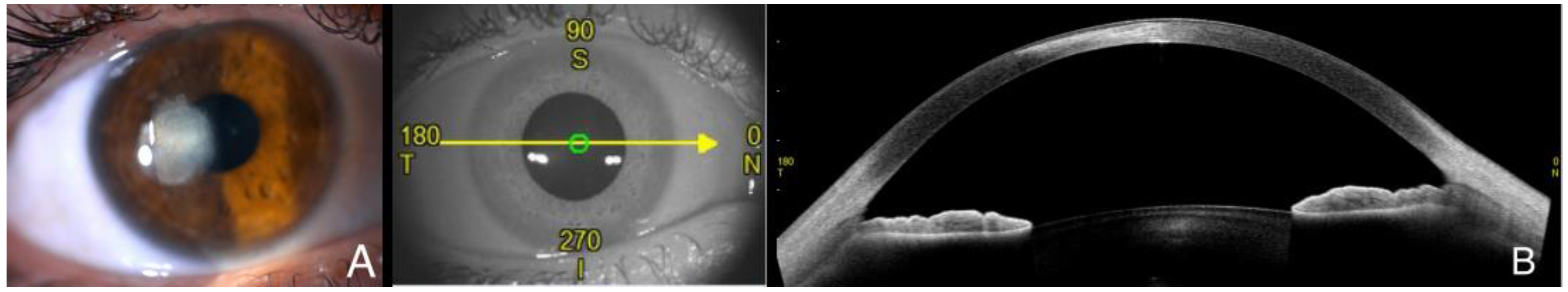 Diagnostics 14 01382 g006