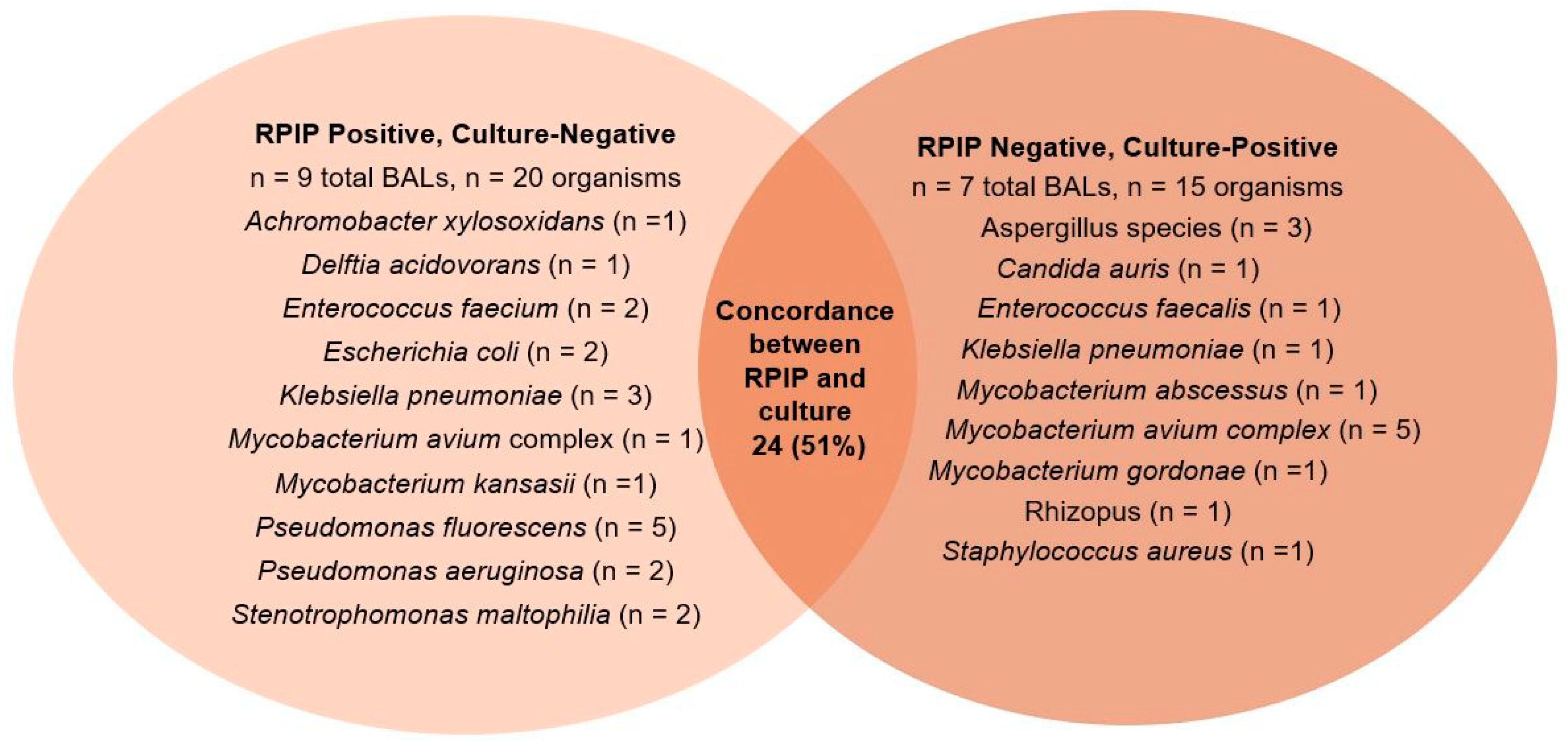 Diagnostics 14 01388 g001