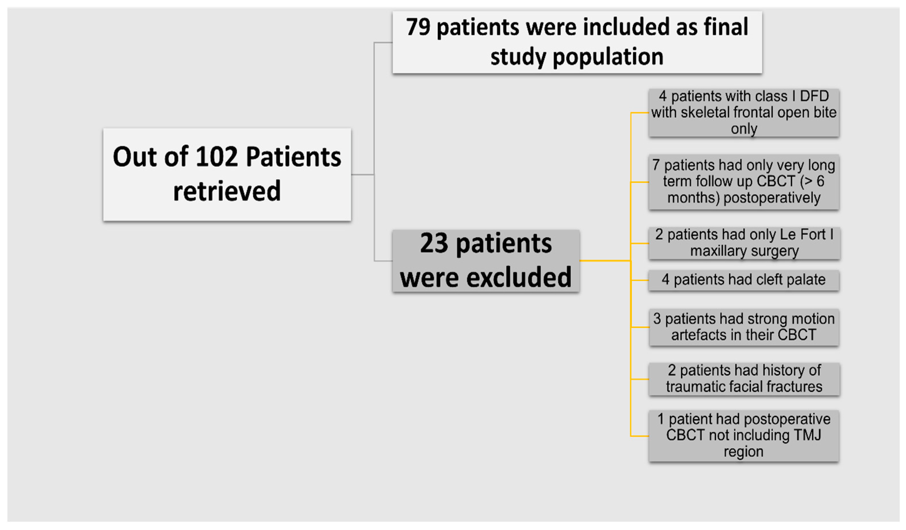 Diagnostics 14 01389 g001