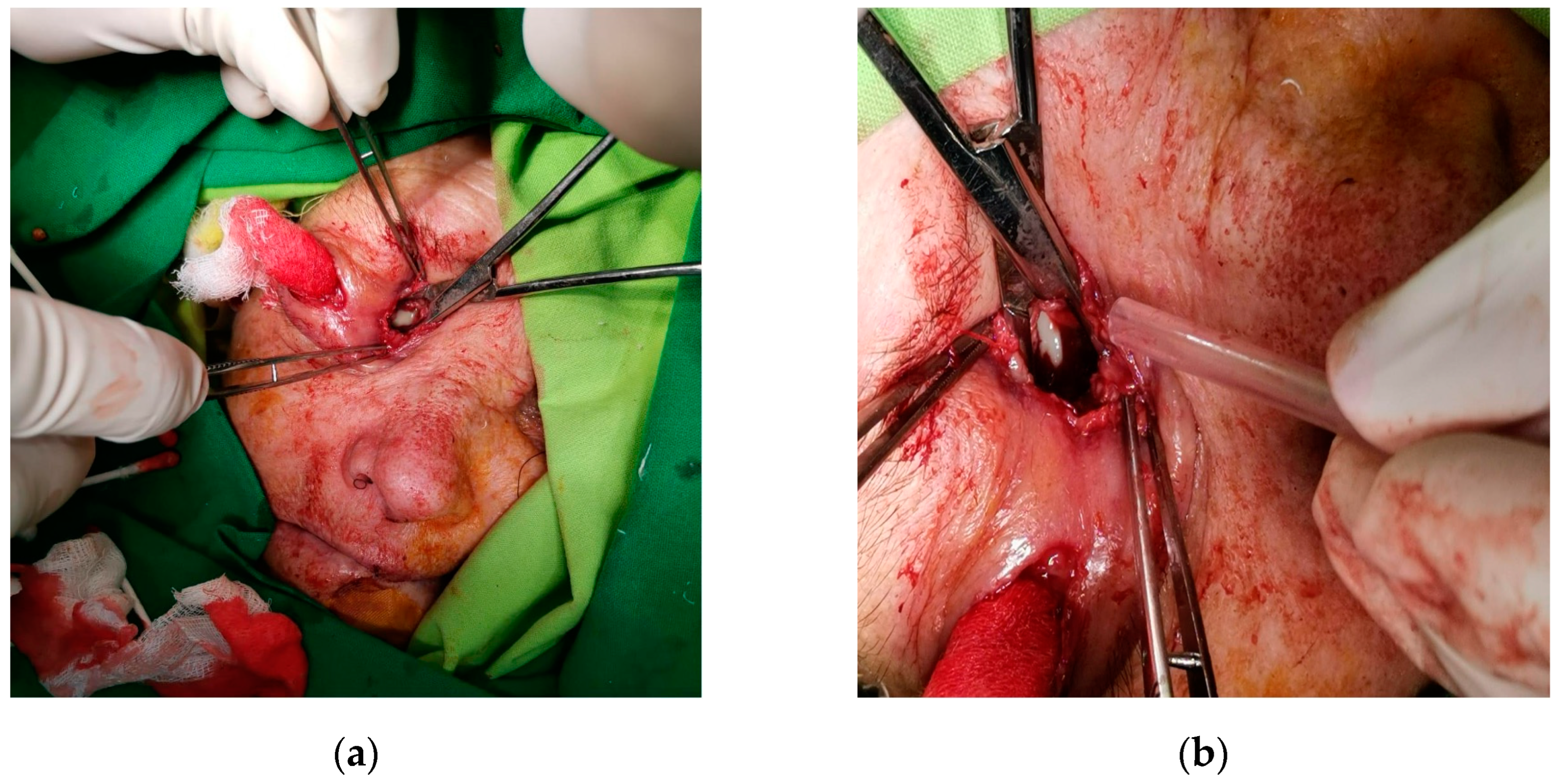 Diagnostics 14 01391 g006