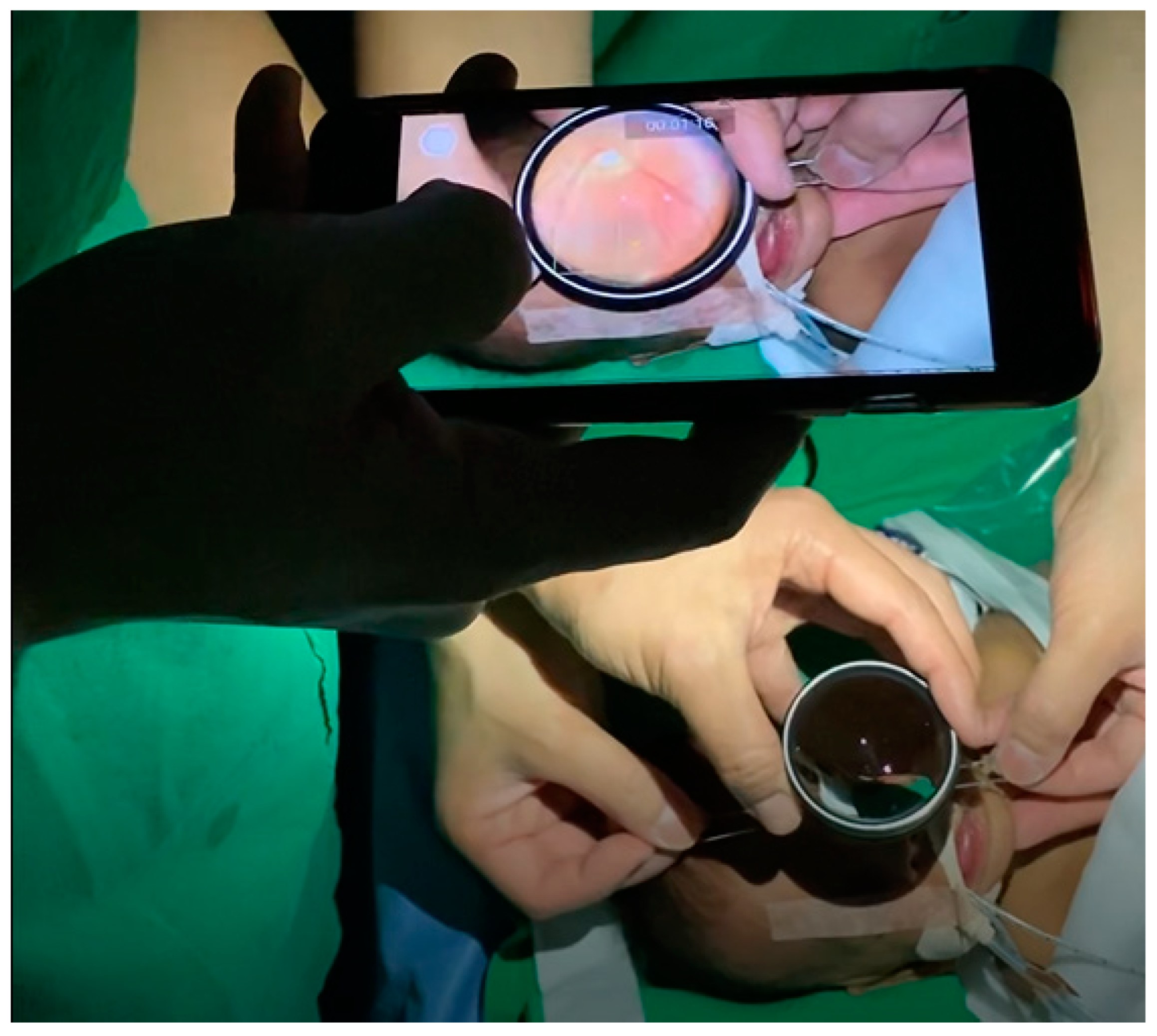 Diagnostics 14 01395 g001