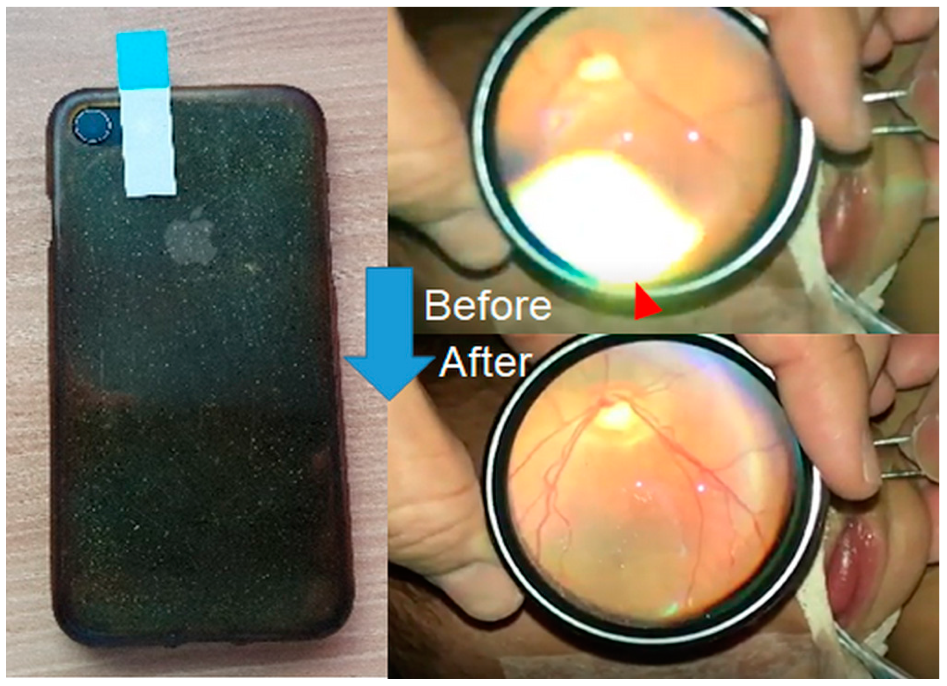 Diagnostics 14 01395 g002