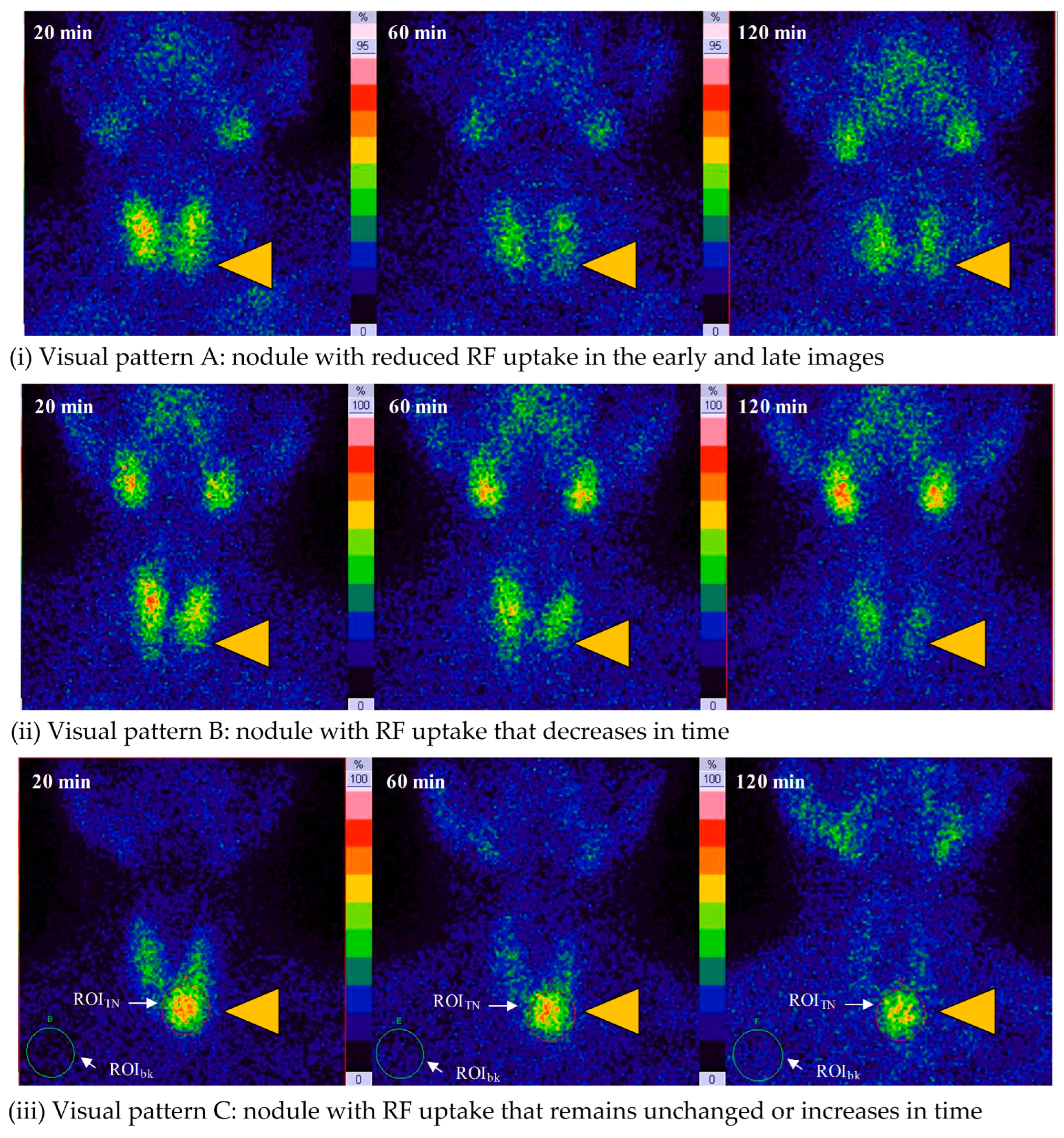 Diagnostics 14 01398 g003 Diagnostics 14 01398 g003