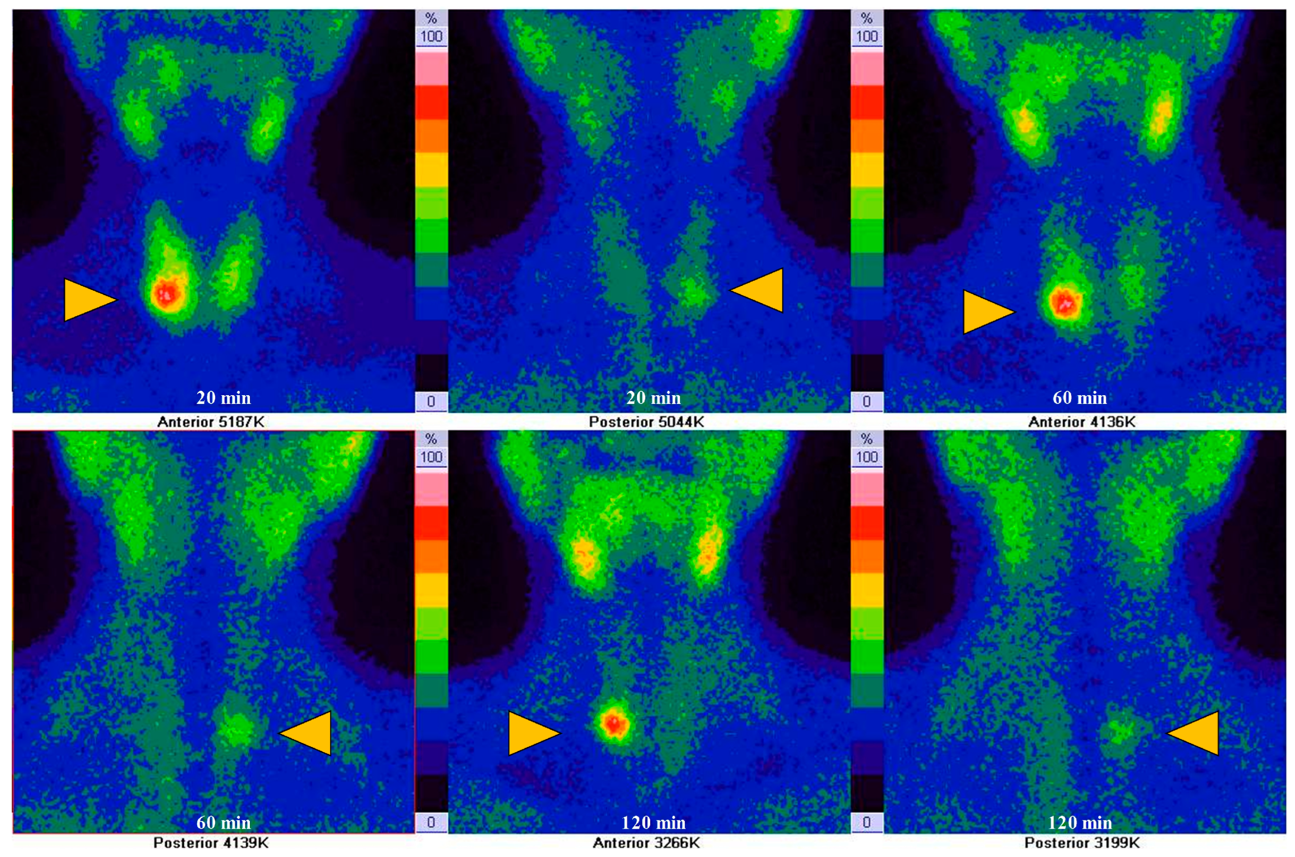 Diagnostics 14 01398 g007 Diagnostics 14 01398 g007
