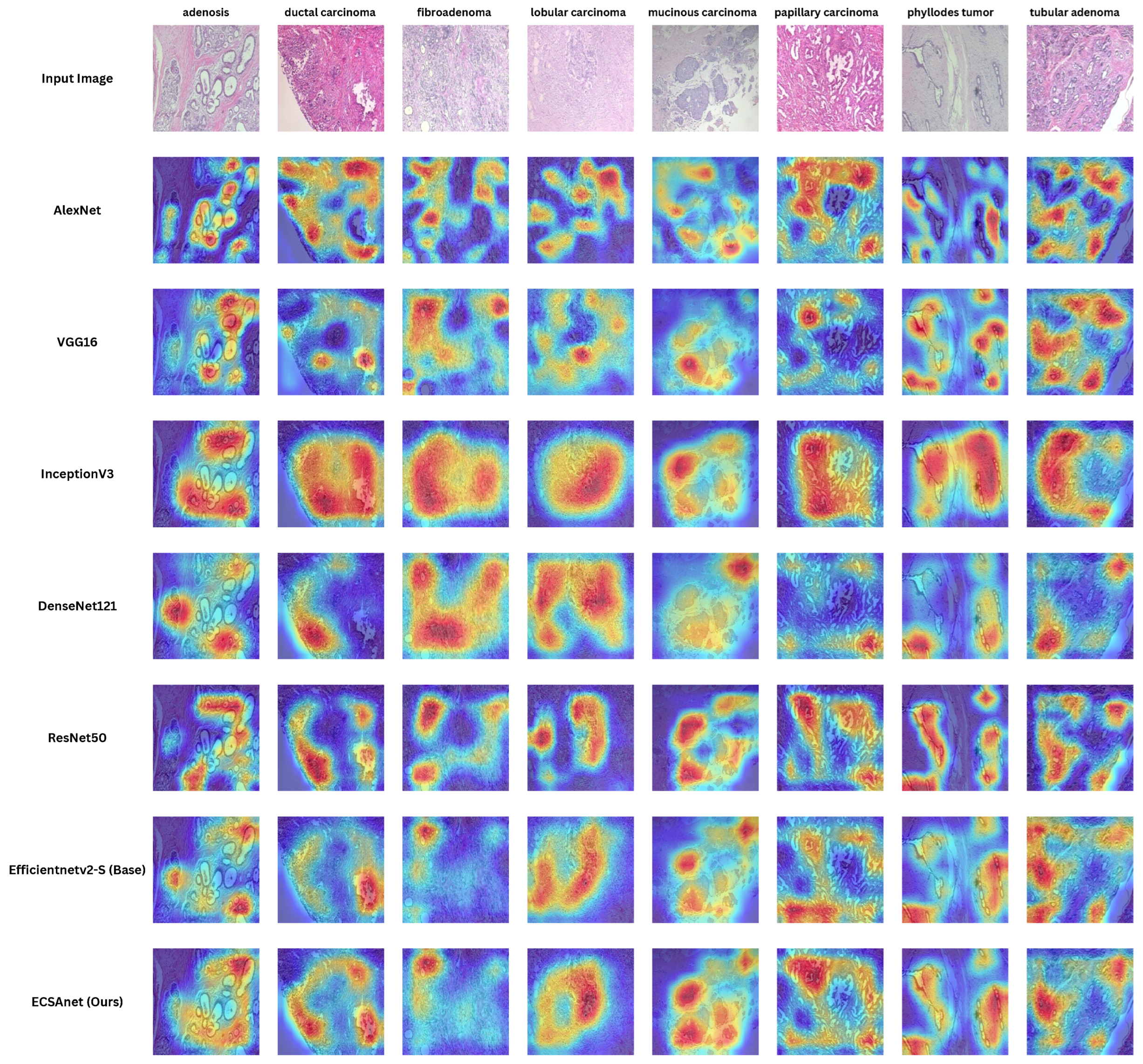 Diagnostics 14 01402 g019