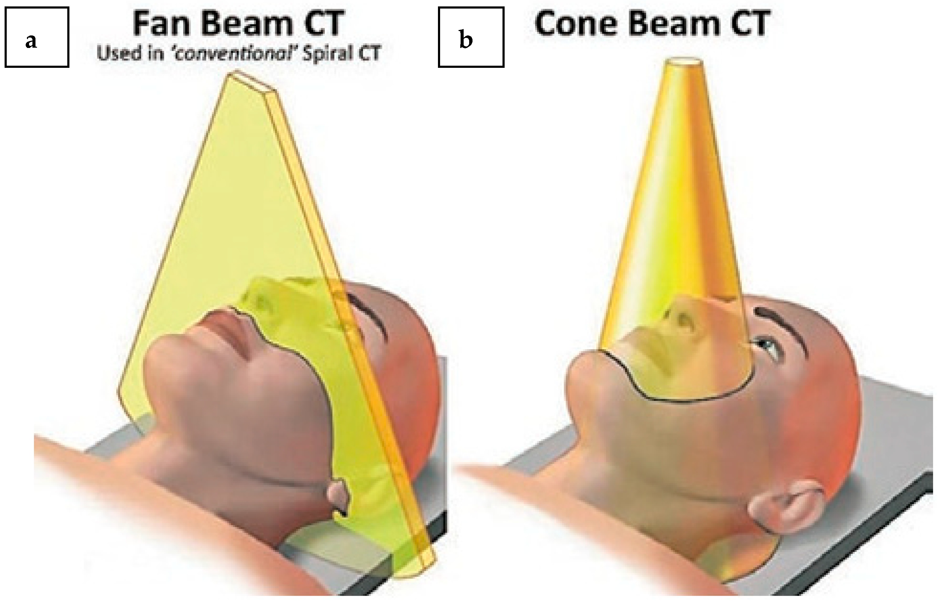 Diagnostics 14 01404 g001