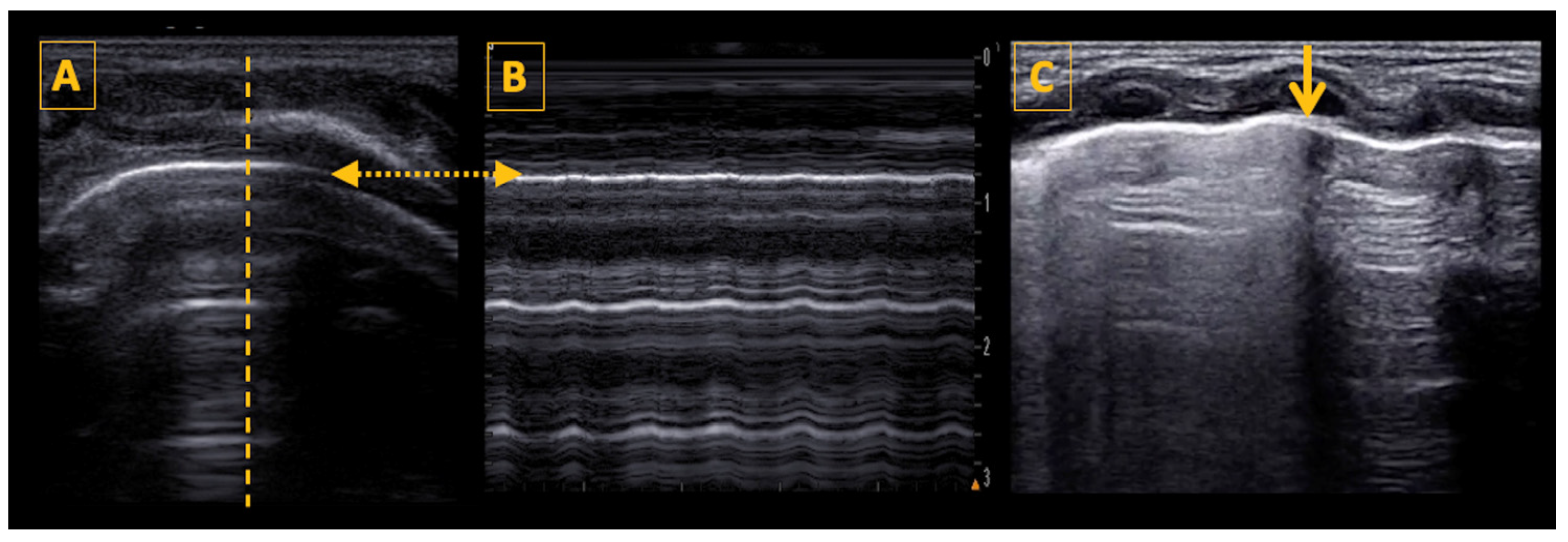Diagnostics 14 01413 g007