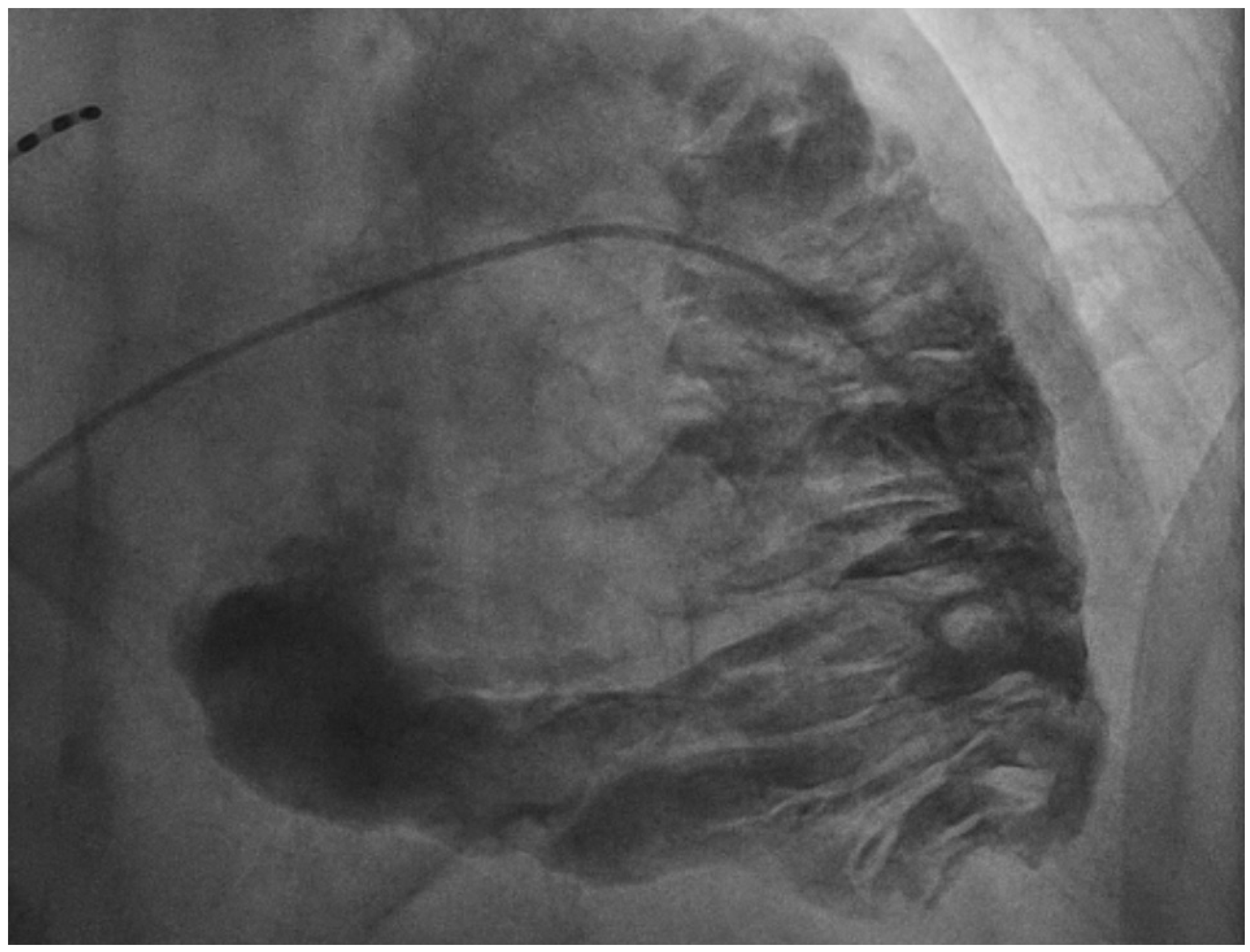 Diagnostics 14 01434 g001